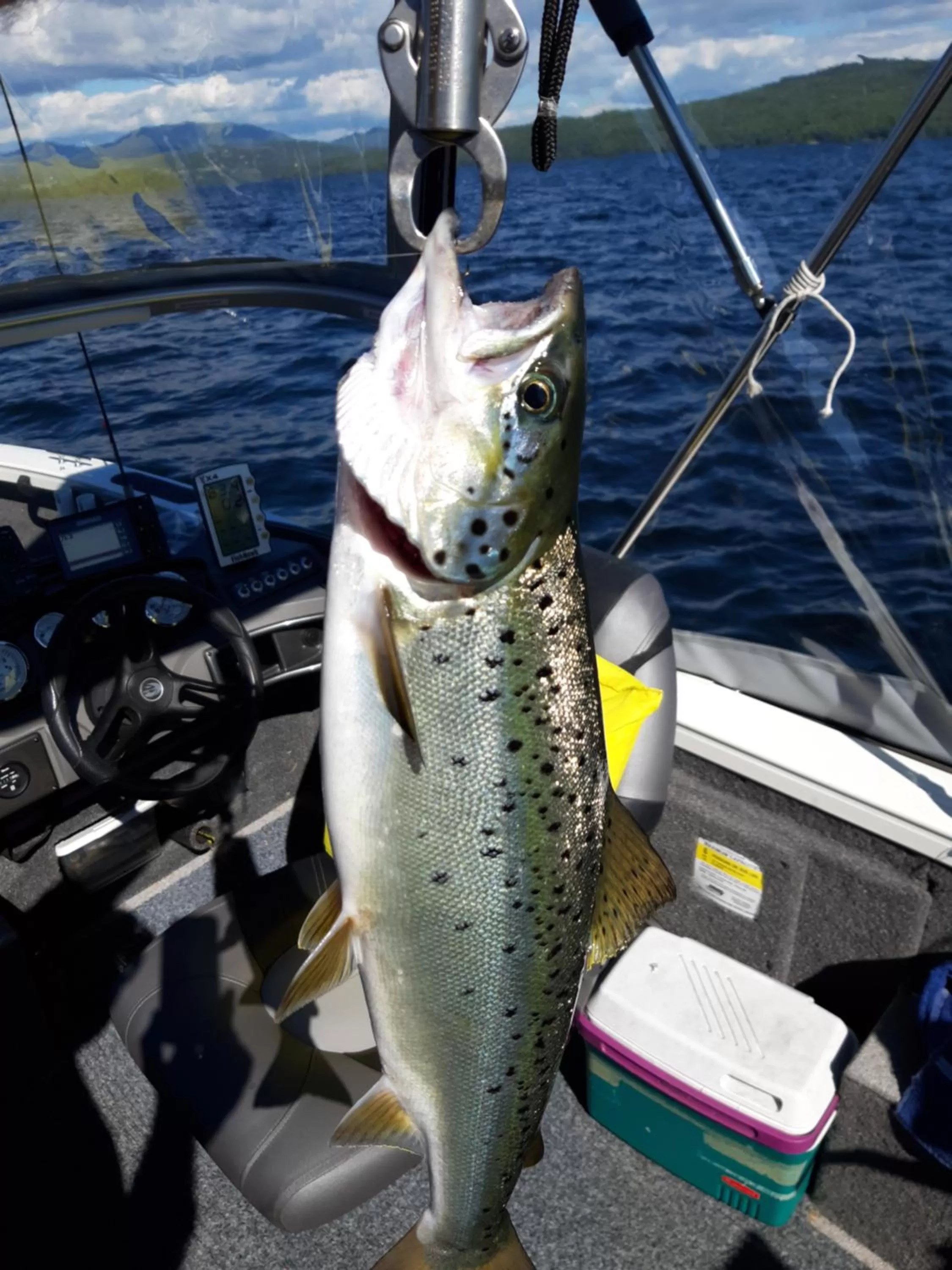 Activities in Rangeley Town & Lake