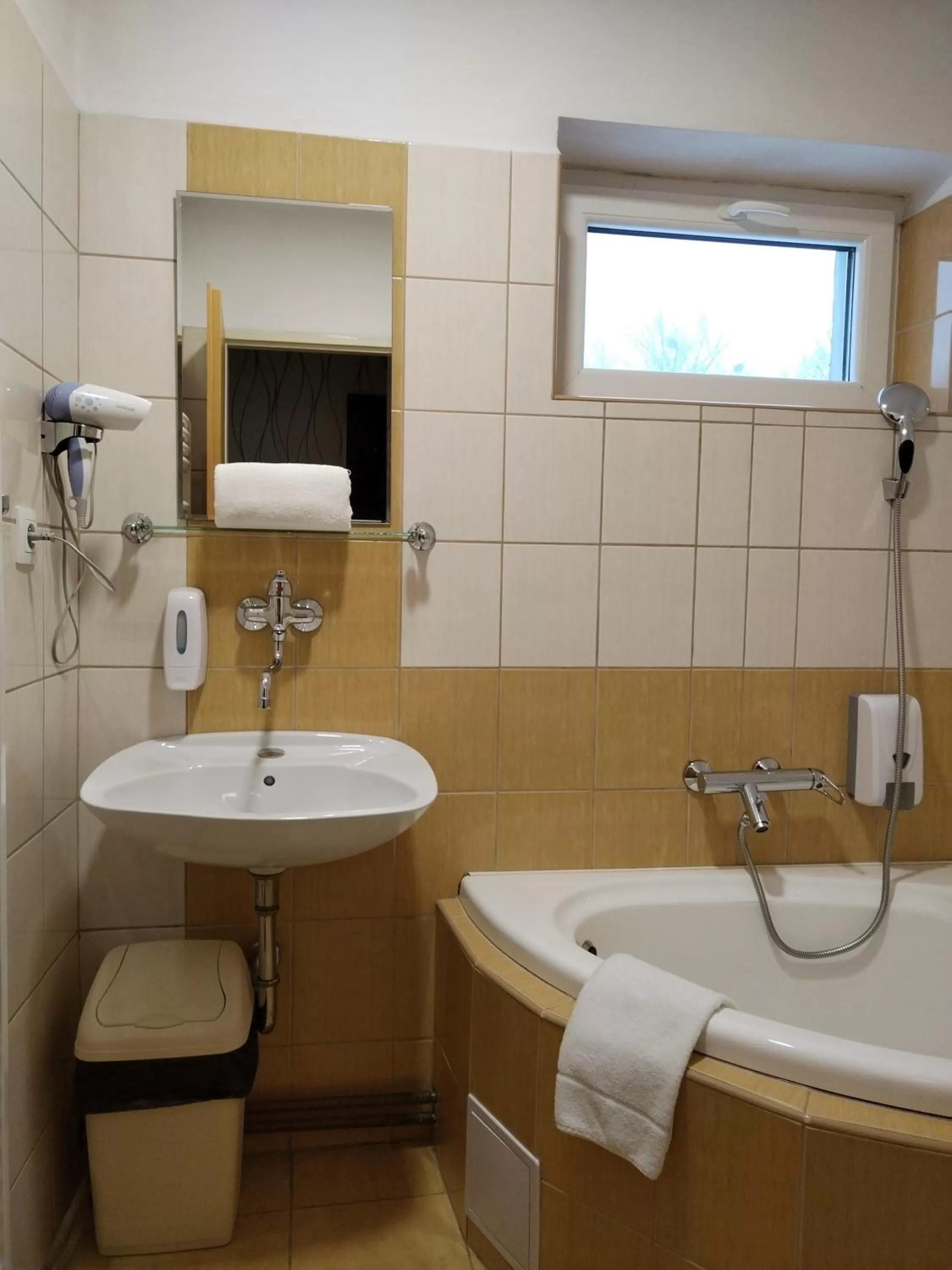 Shower in Hotel Boršičanka