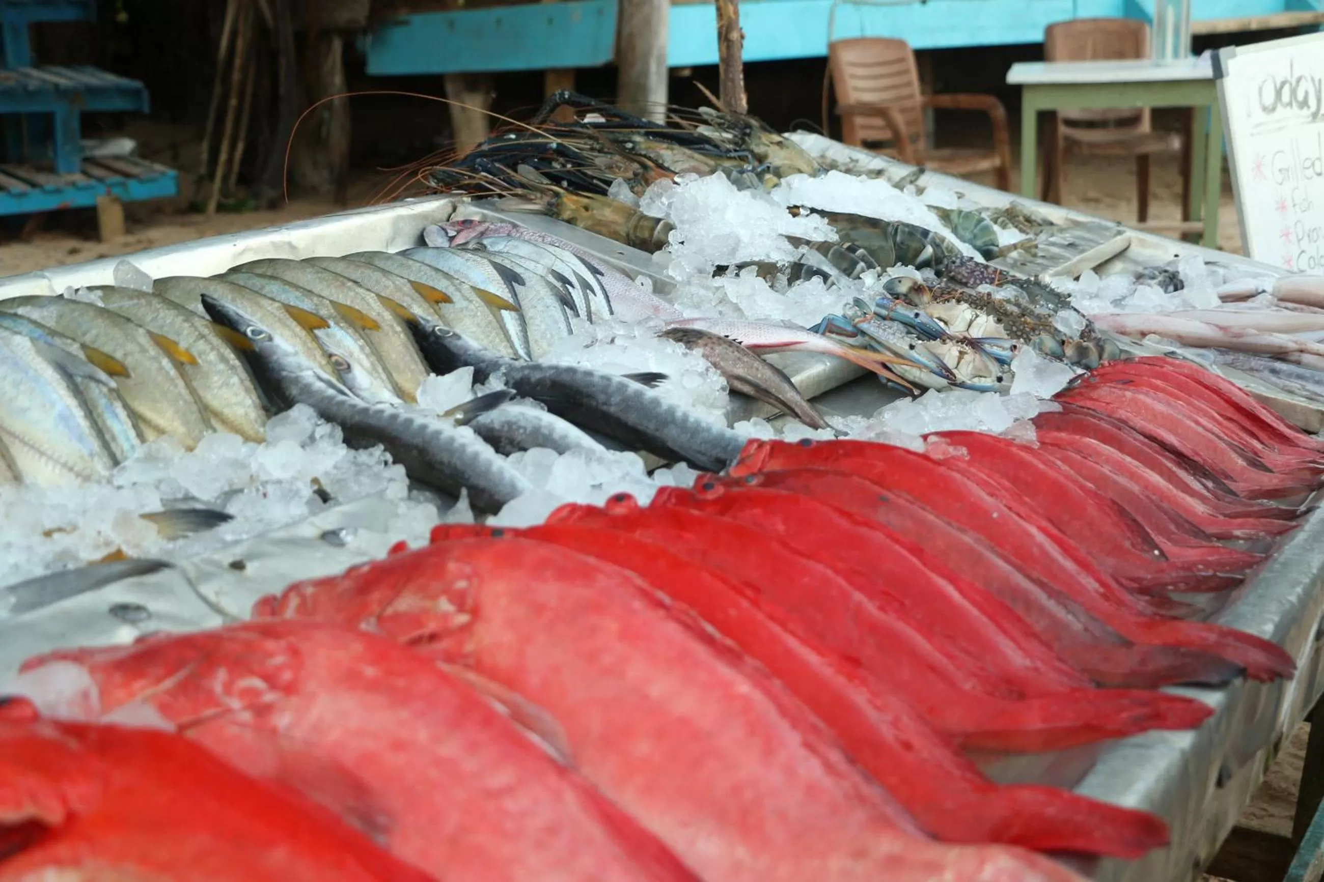 Restaurant/places to eat, Food in SriMany