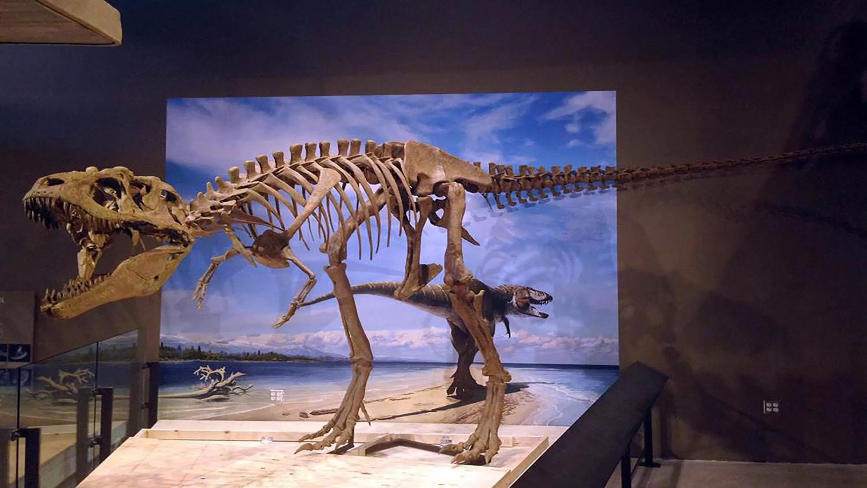 Nearby landmark in Holiday Inn Express Airport East by IHG