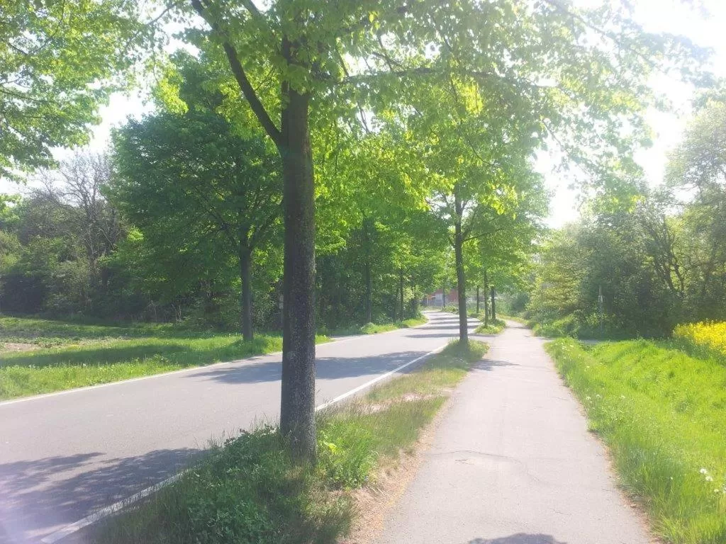 Neighbourhood, Garden in Hotel-Café-Galerie