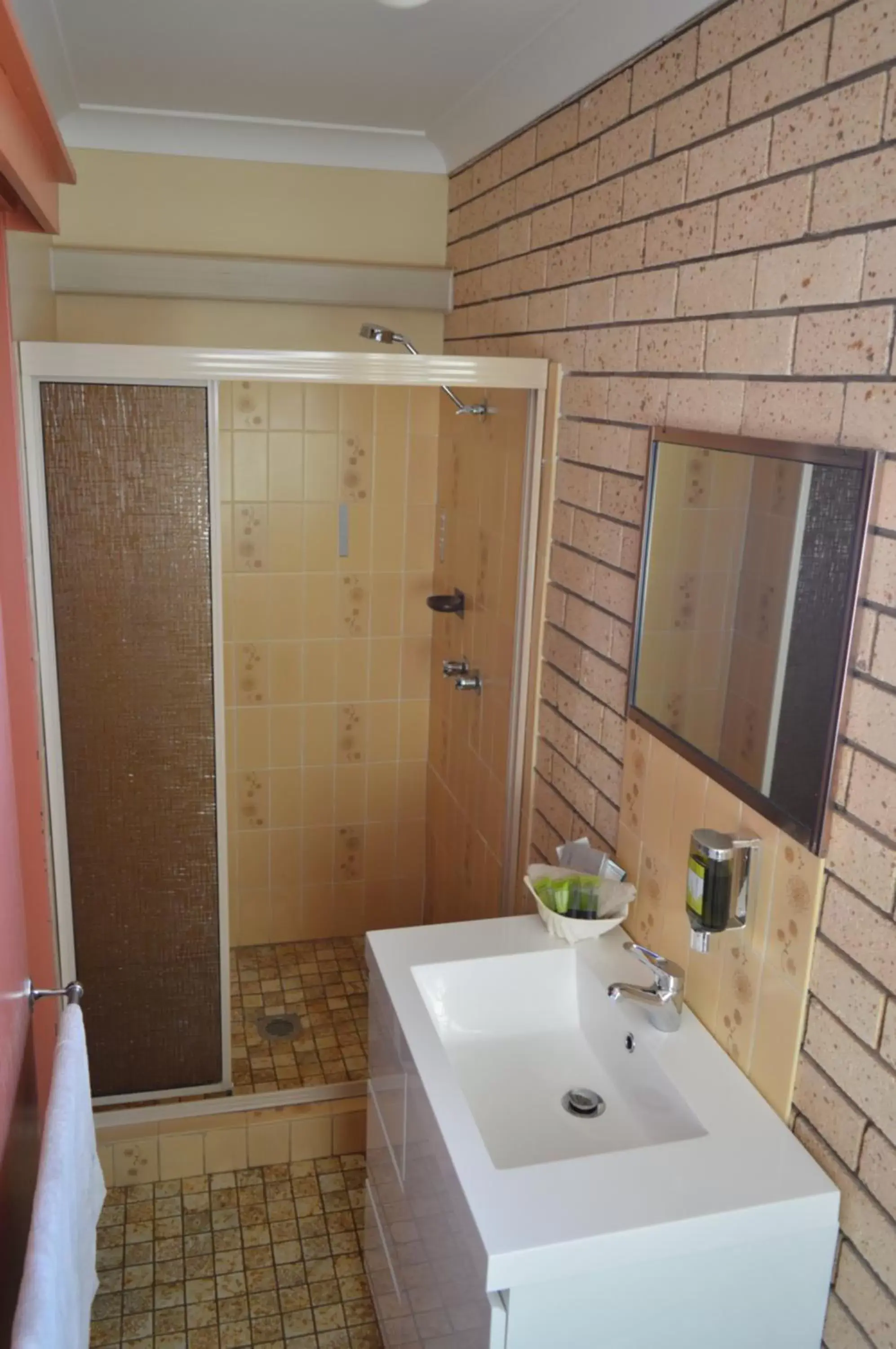 Standard Double Room in Alamo Motor Inn Standard Double Room in Alamo Motor Inn