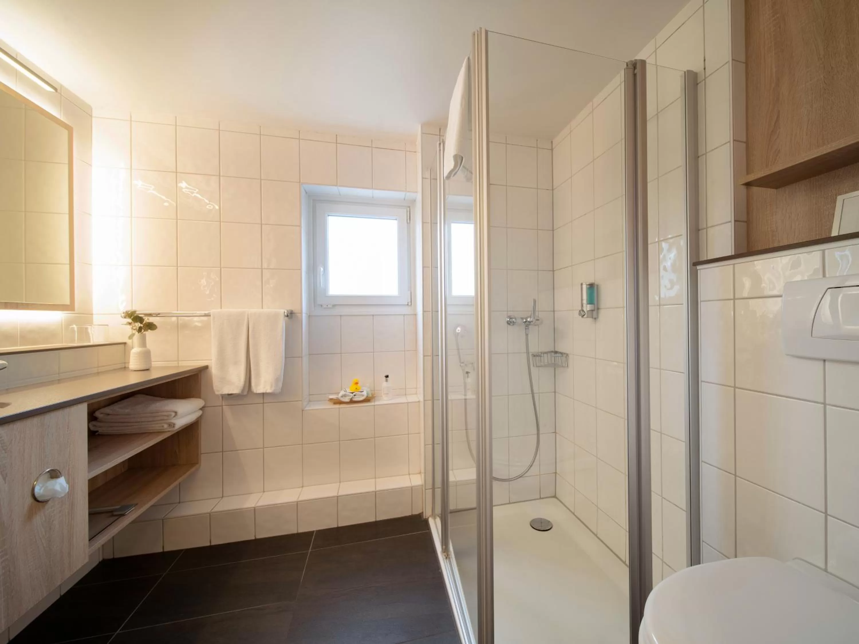 Shower in Hotel Spalentor - Ihr sympathisches Stadthotel