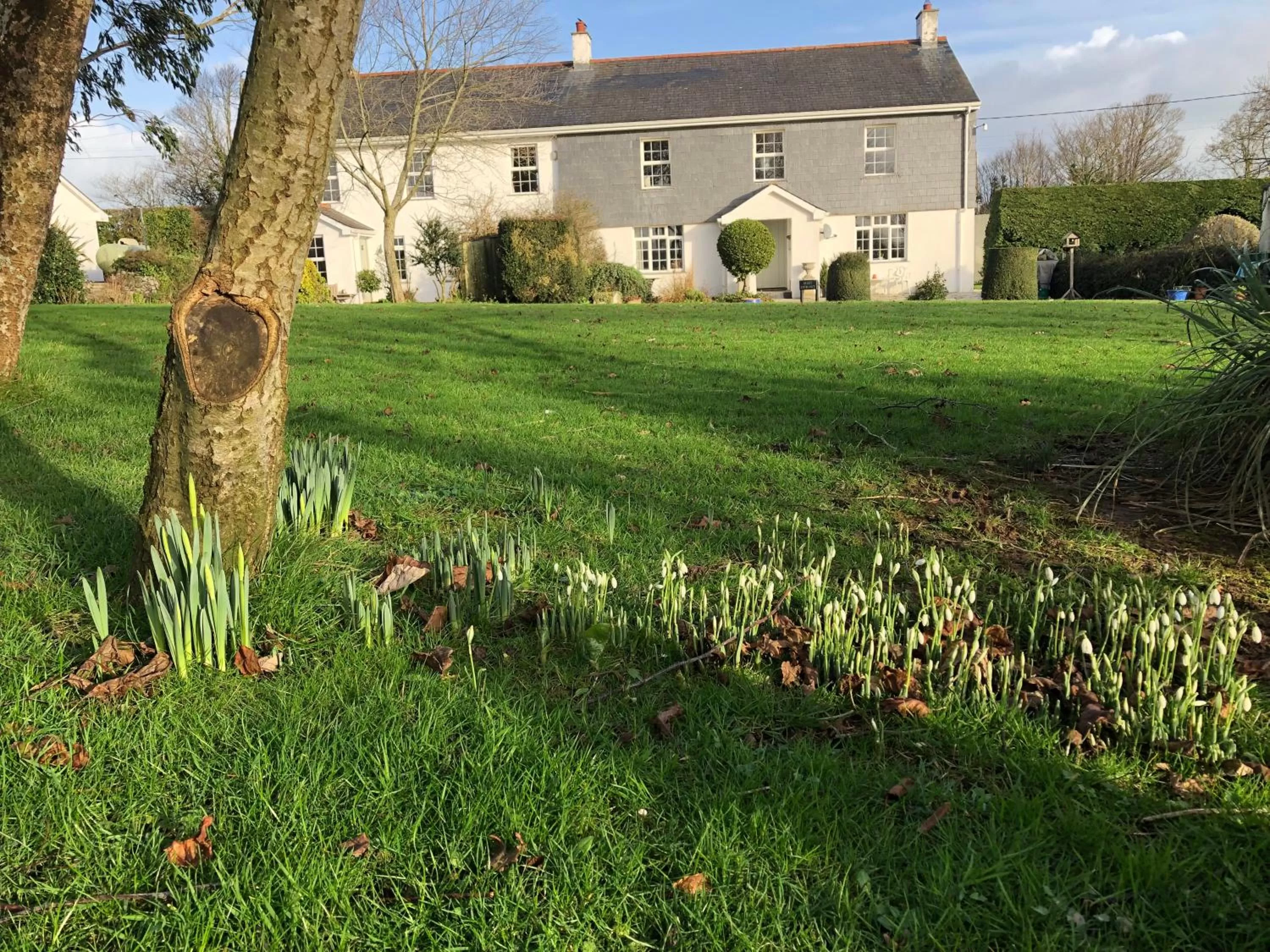 Property building in Treweens