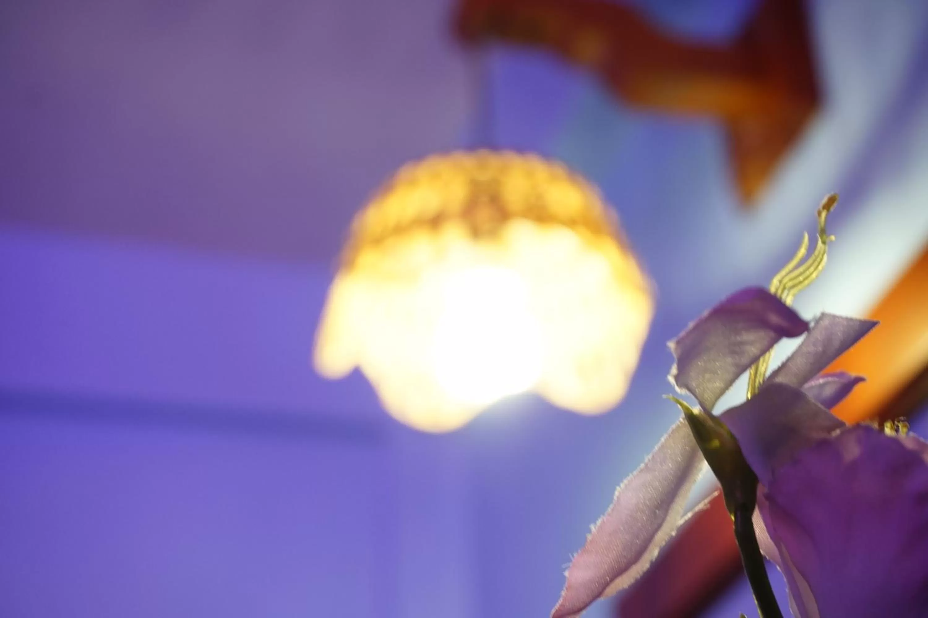 Hotel Cazomalli Oaxaca