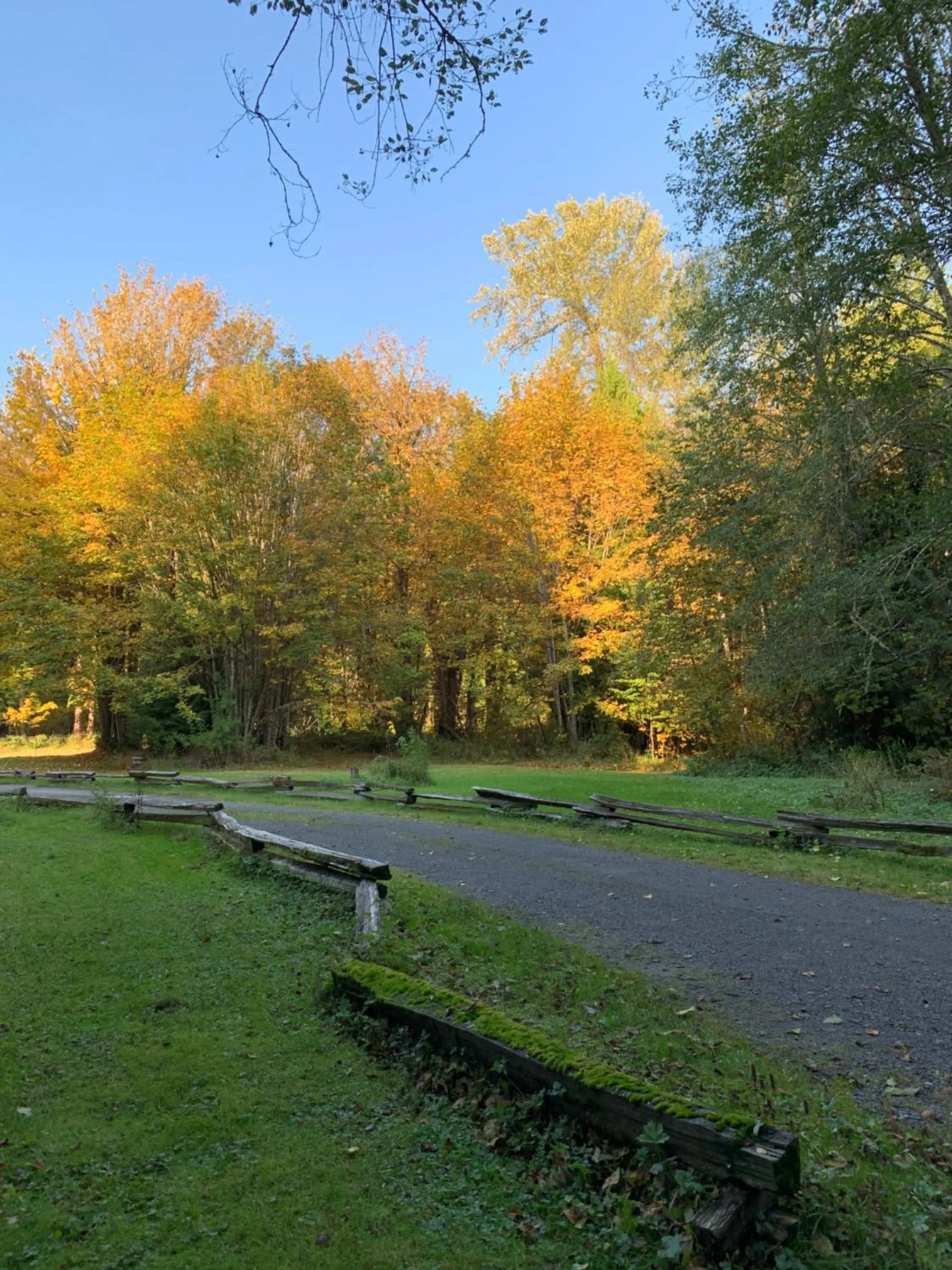 Garden view in Mountain Meadows Inn & Chalet Suites