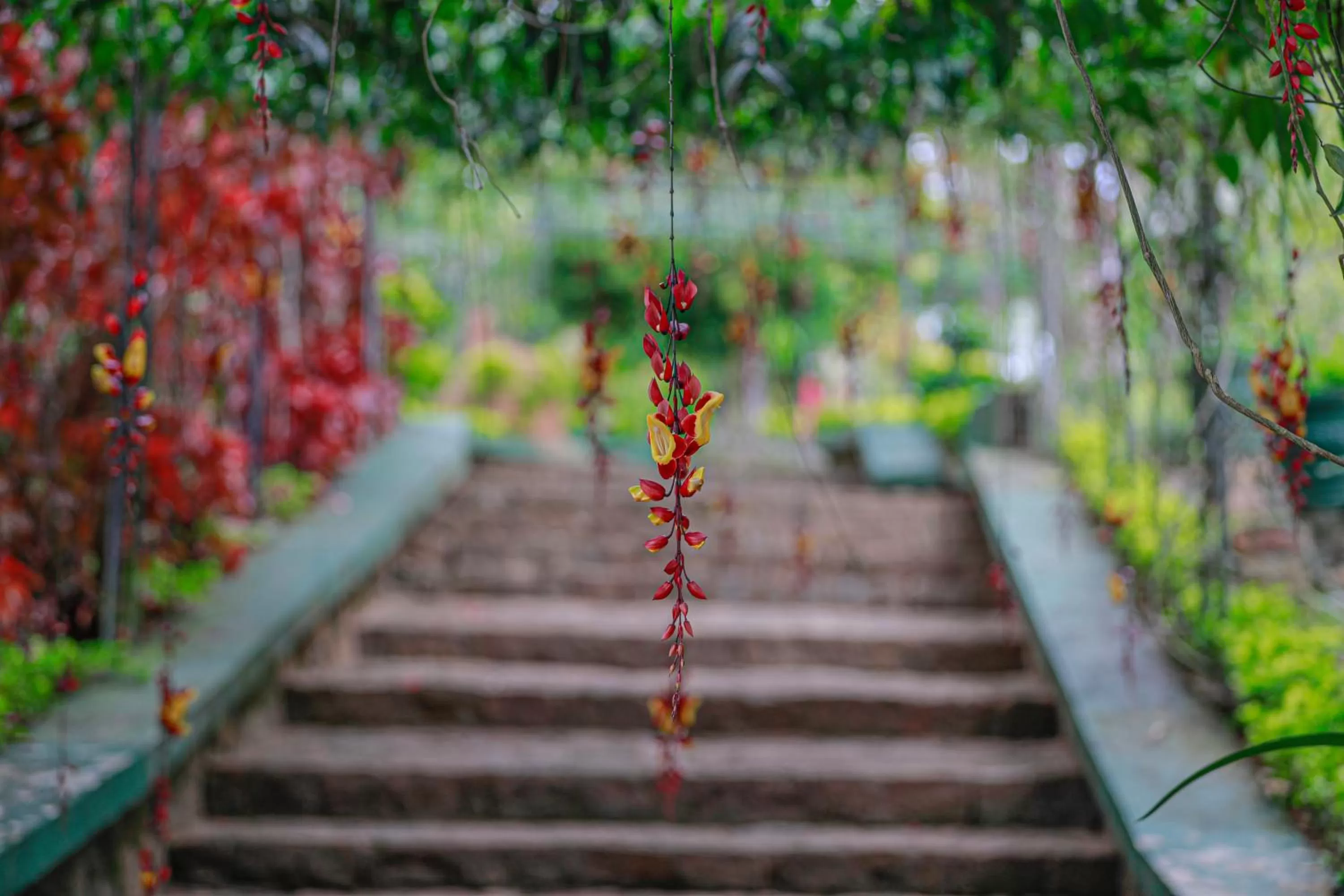 Garden in CHILL VILLE, VIEW POINT HOTEL