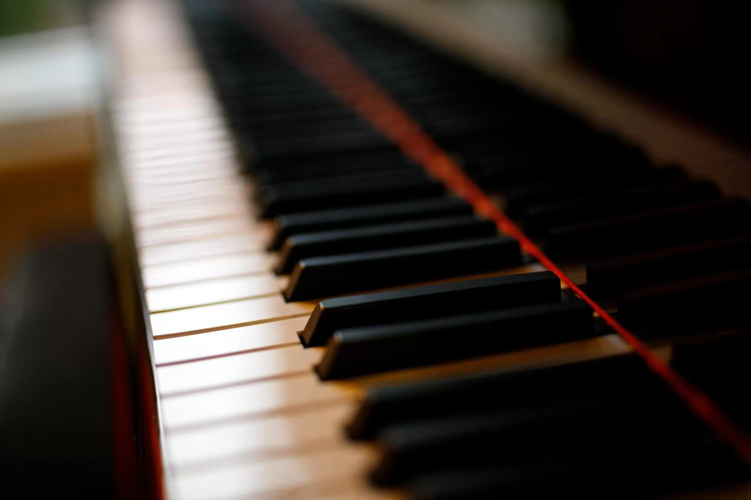 Evening entertainment in Art Garni Hotel