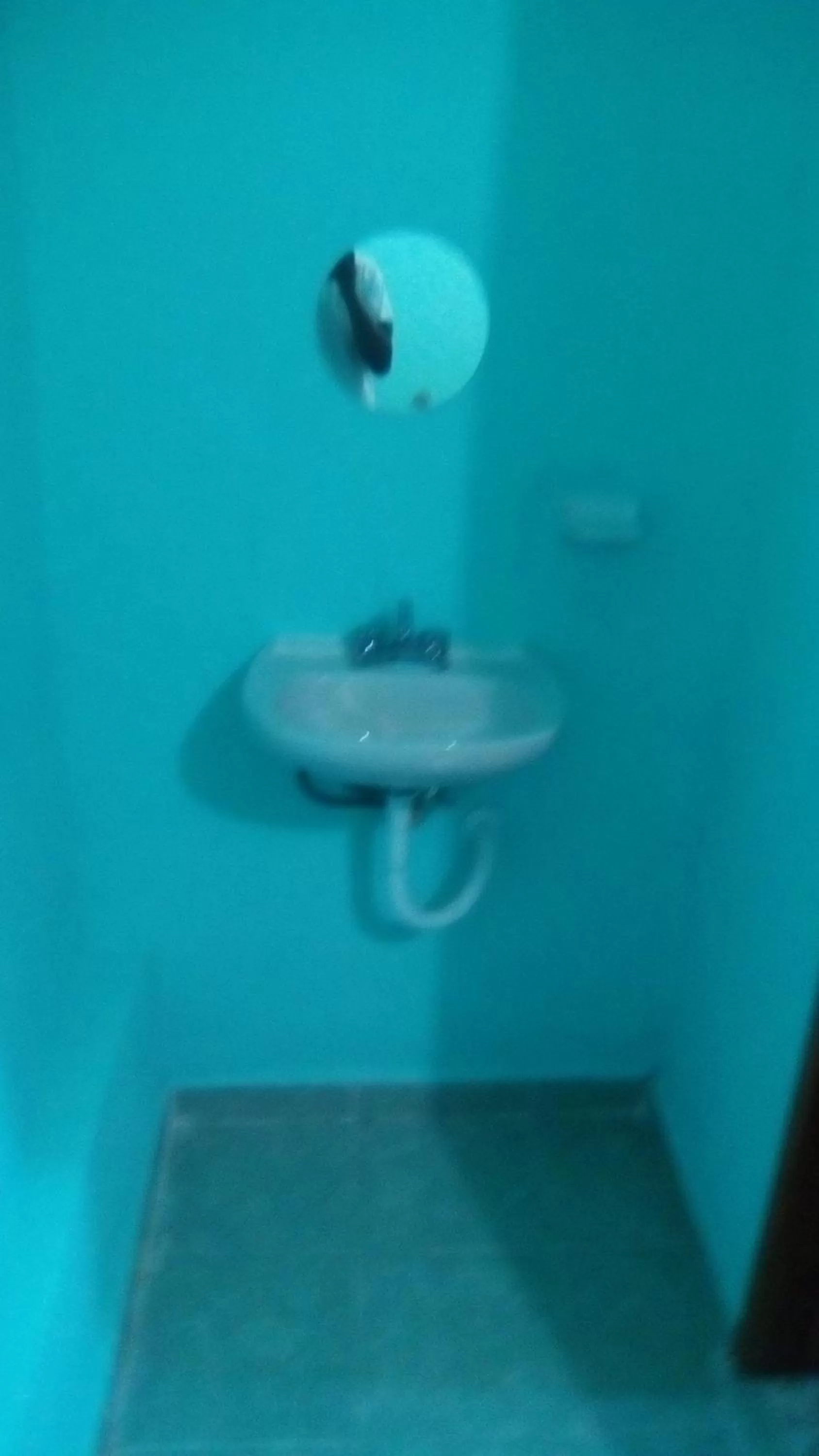 Other in Hotel Chaac Calakmul