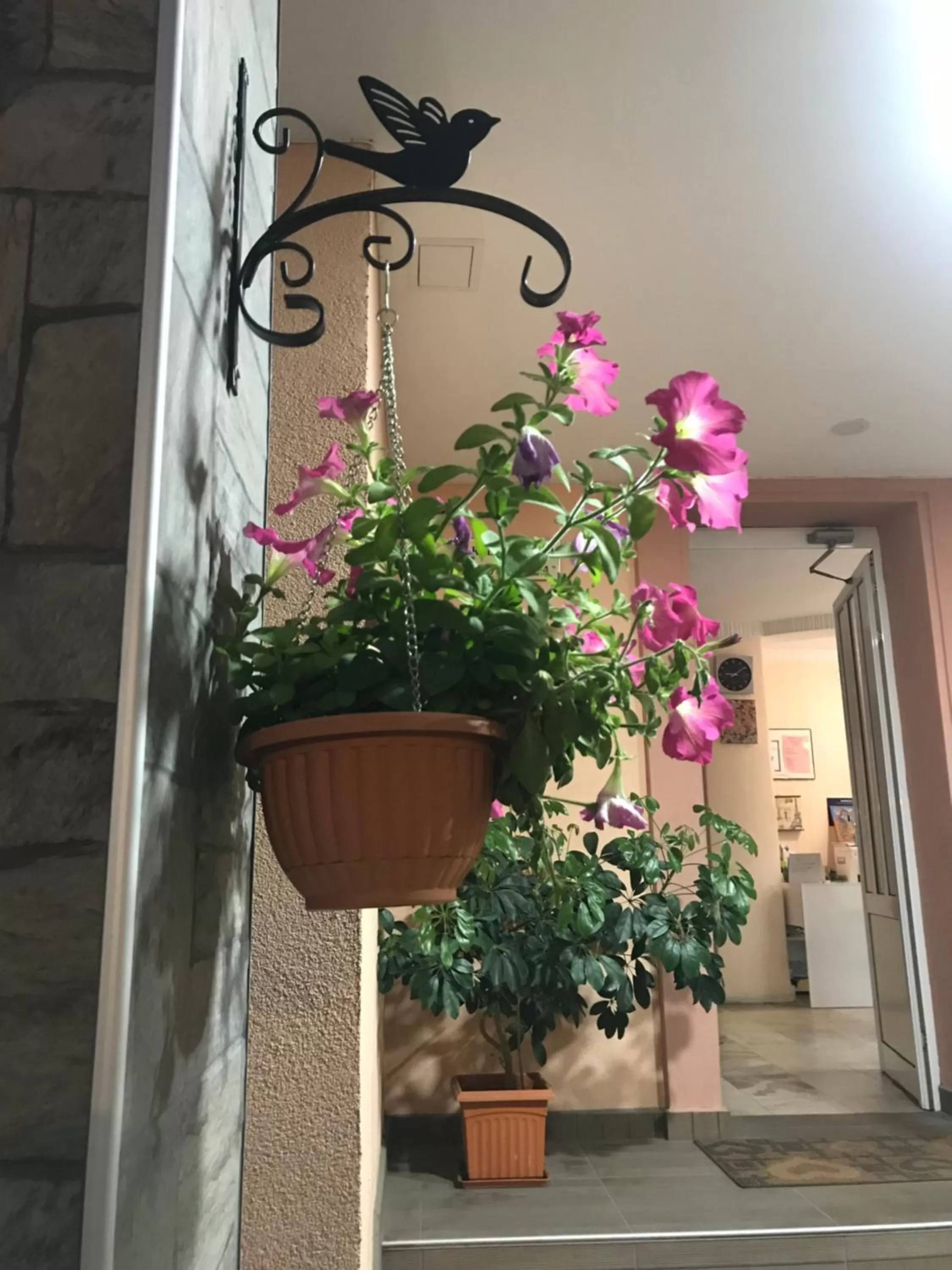 Facade/entrance in White Rose Family Guest House