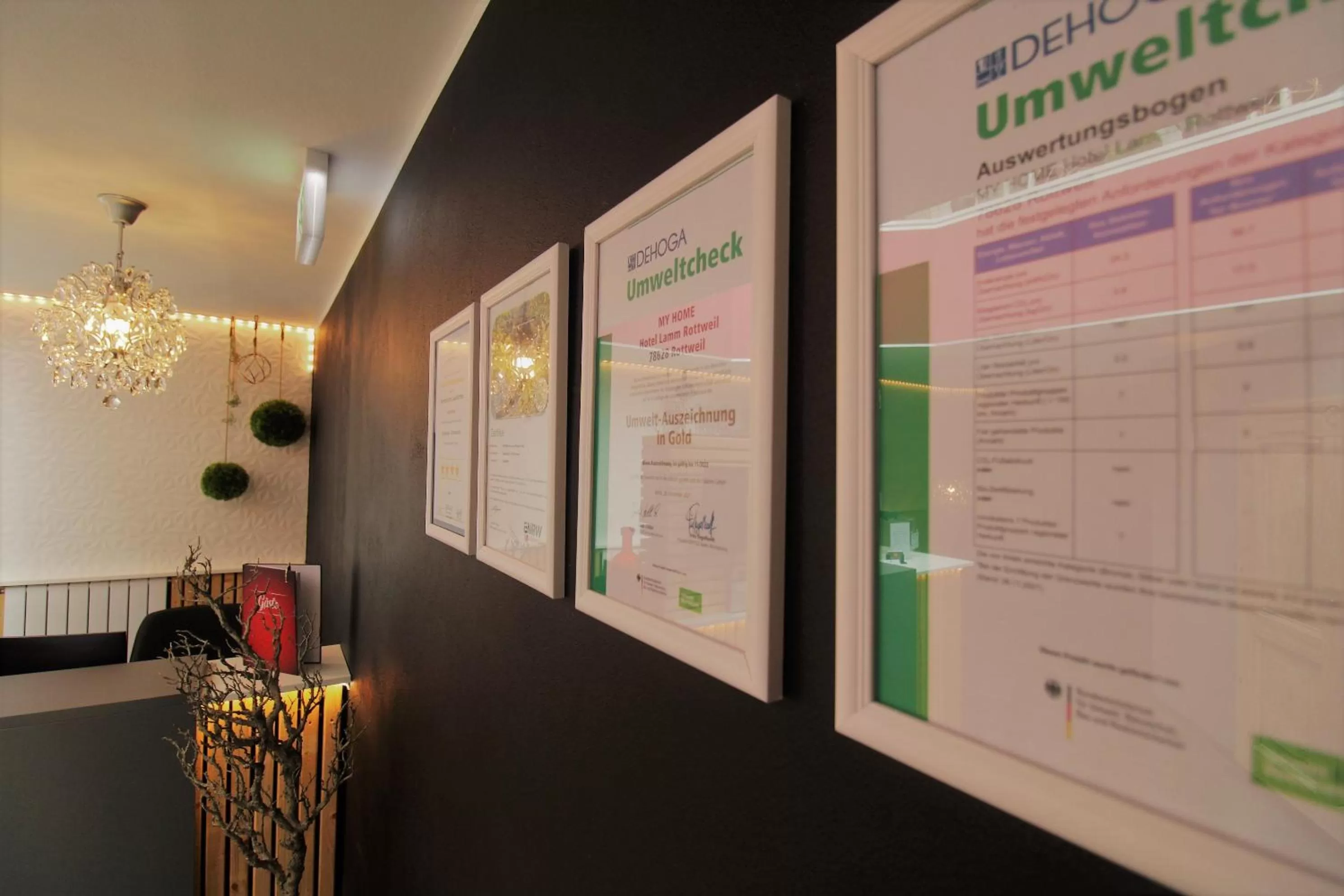 Certificate/Award in MY HOME Hotel Lamm Rottweil "Smart Home"
