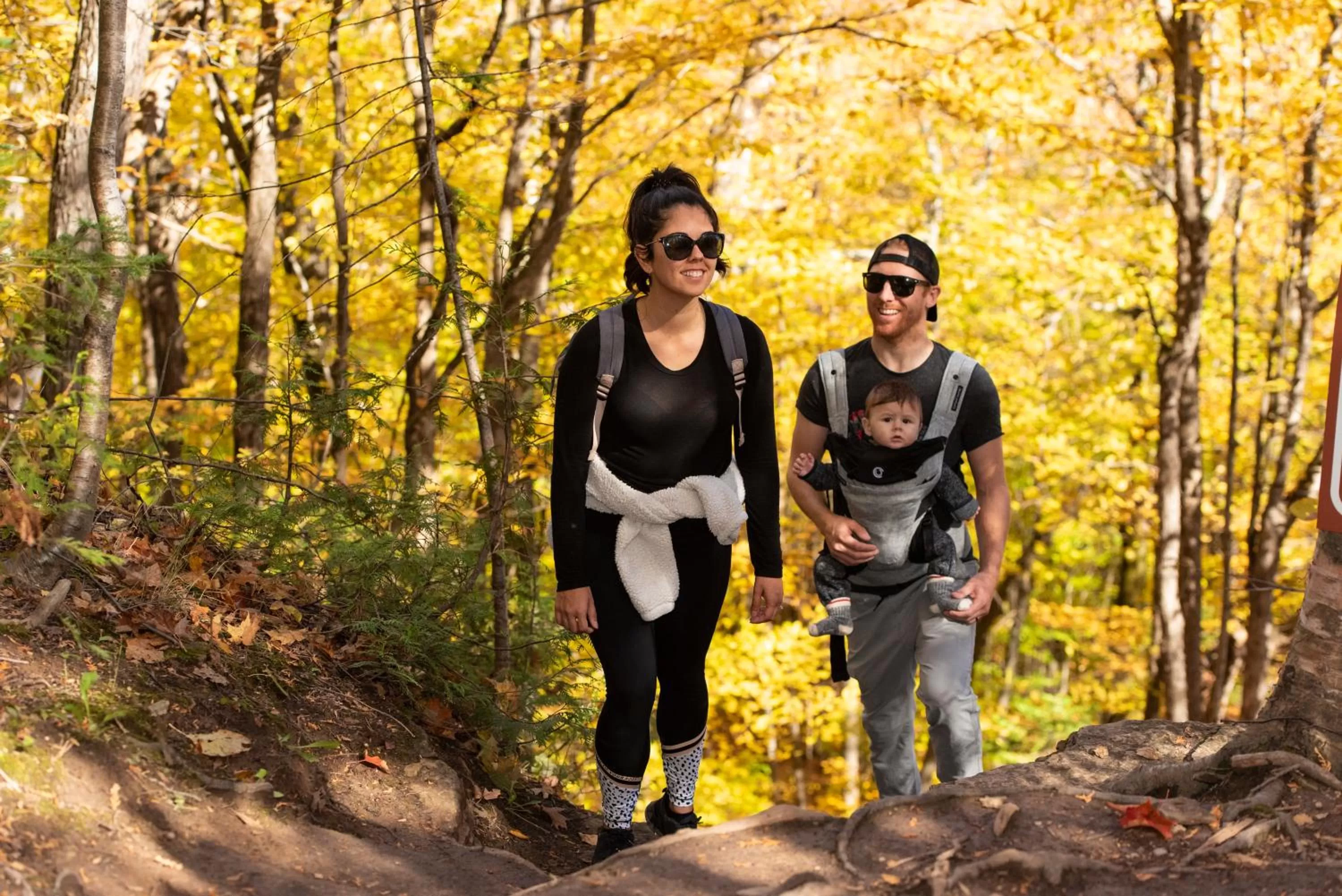 Natural landscape in Blue Mountain Resort Mosaic Suites
