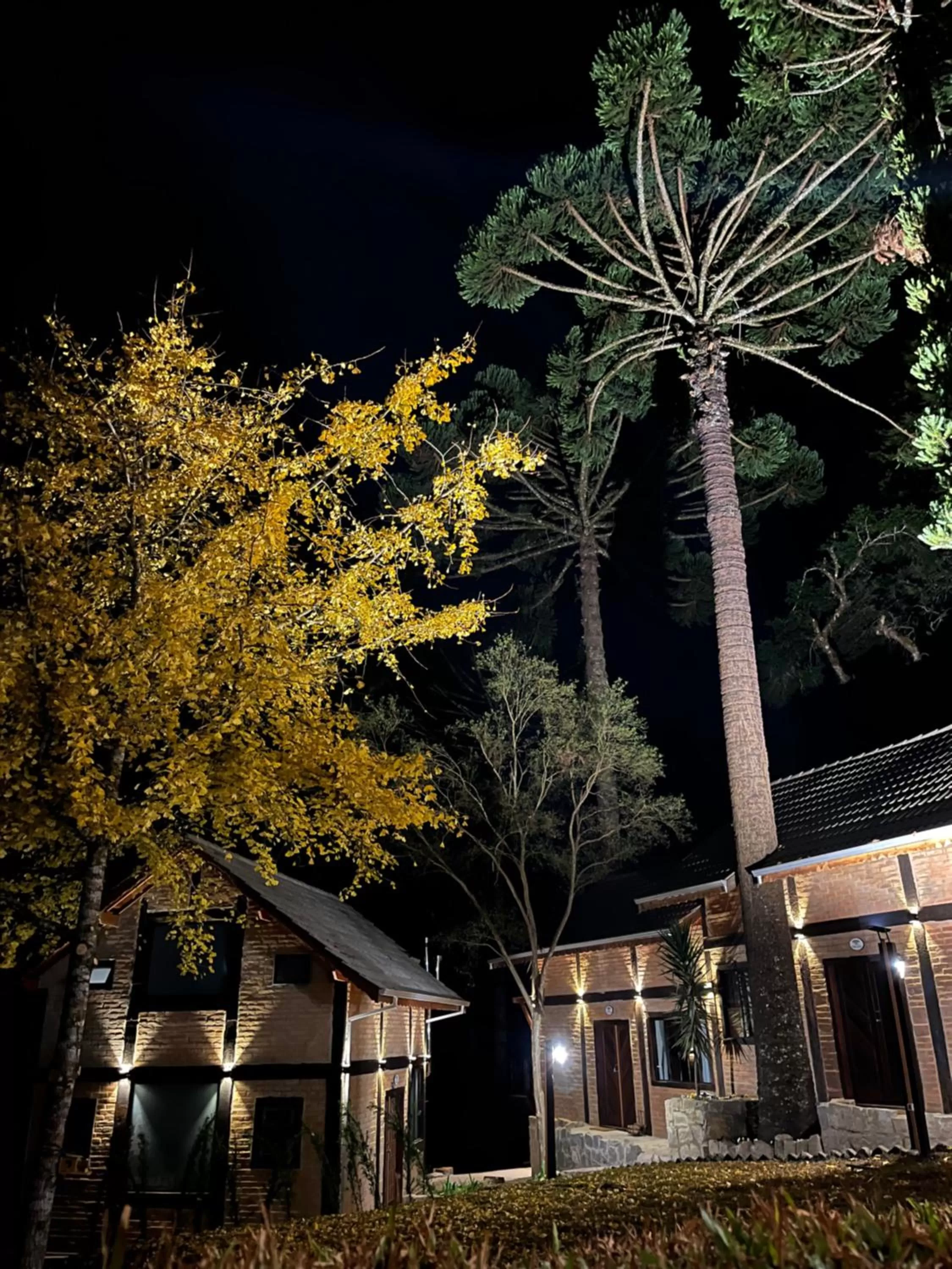 Garden, Property Building in Pousada Dona Bendita