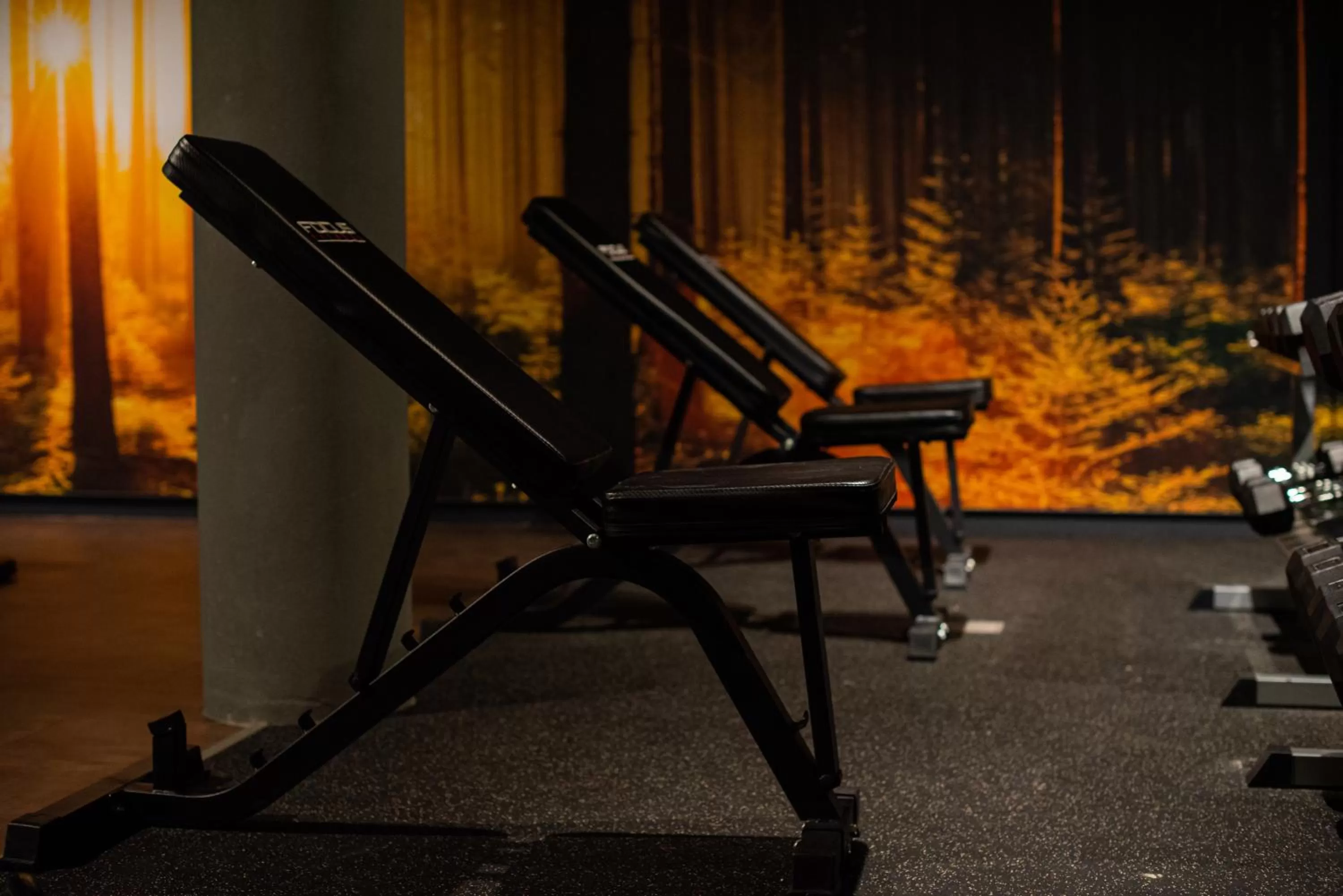 Fitness centre/facilities in Hotel Gastronomique de Echoput