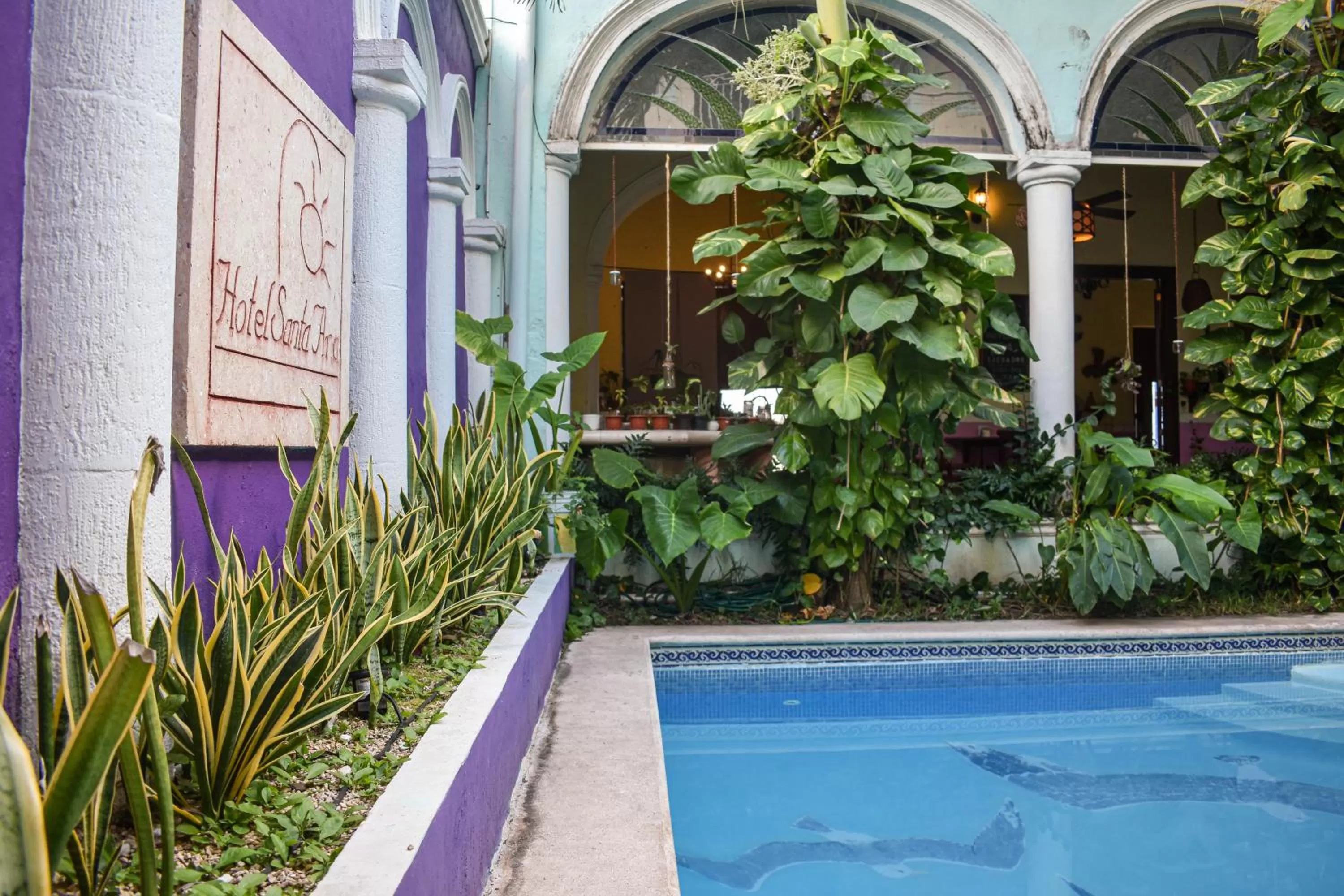 Pool view in Hotel Santa Ana