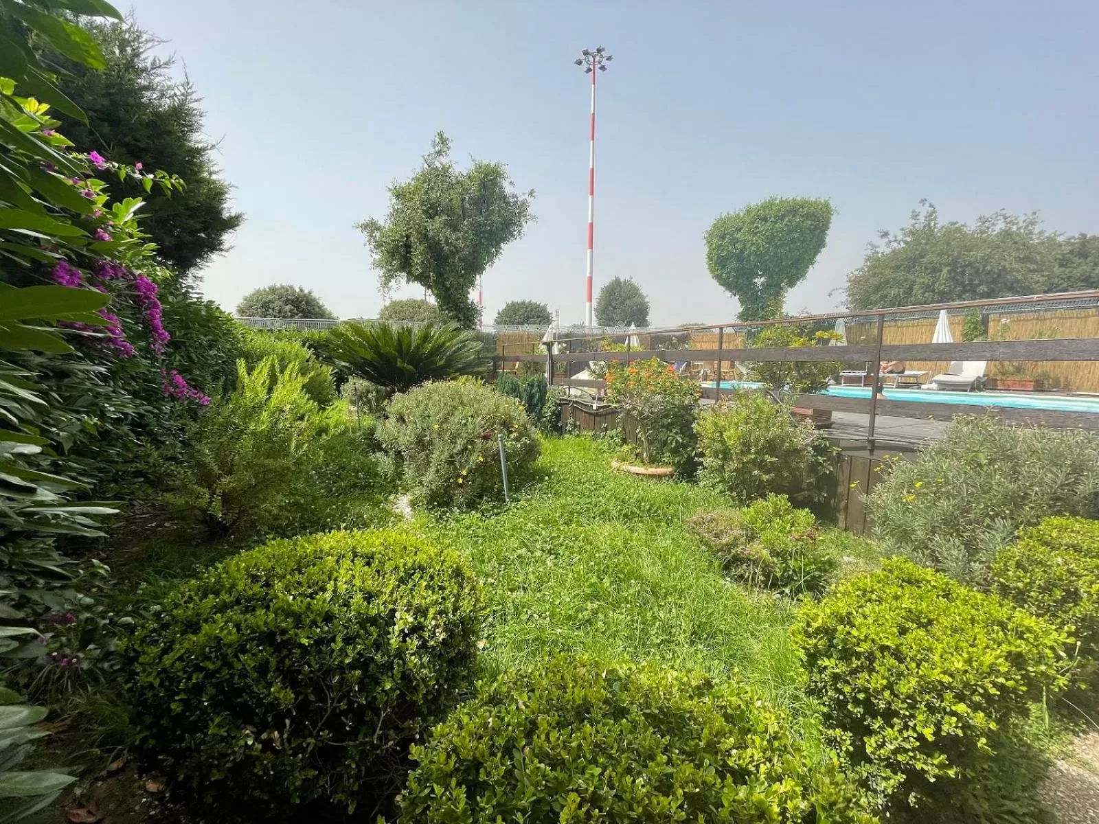 Garden in Capodichino International Hotel