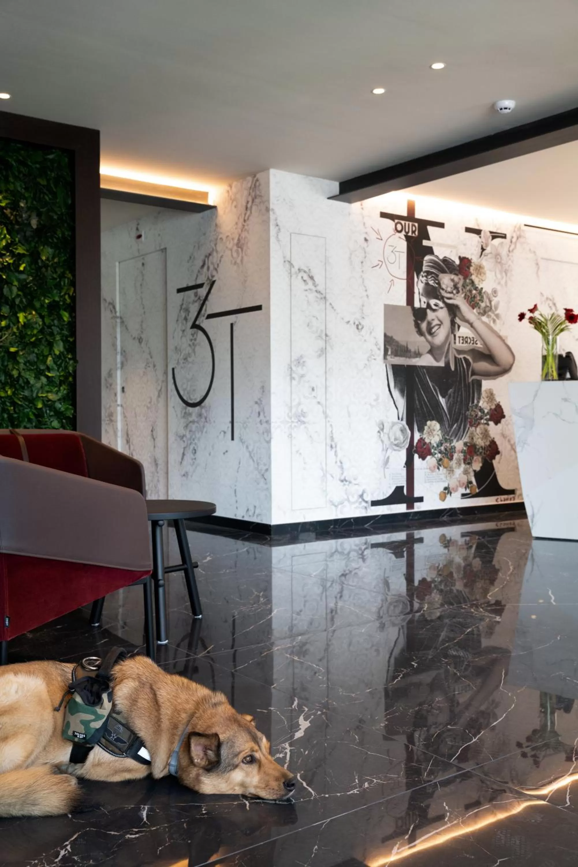 Property logo or sign in 3T Boutique Hotel