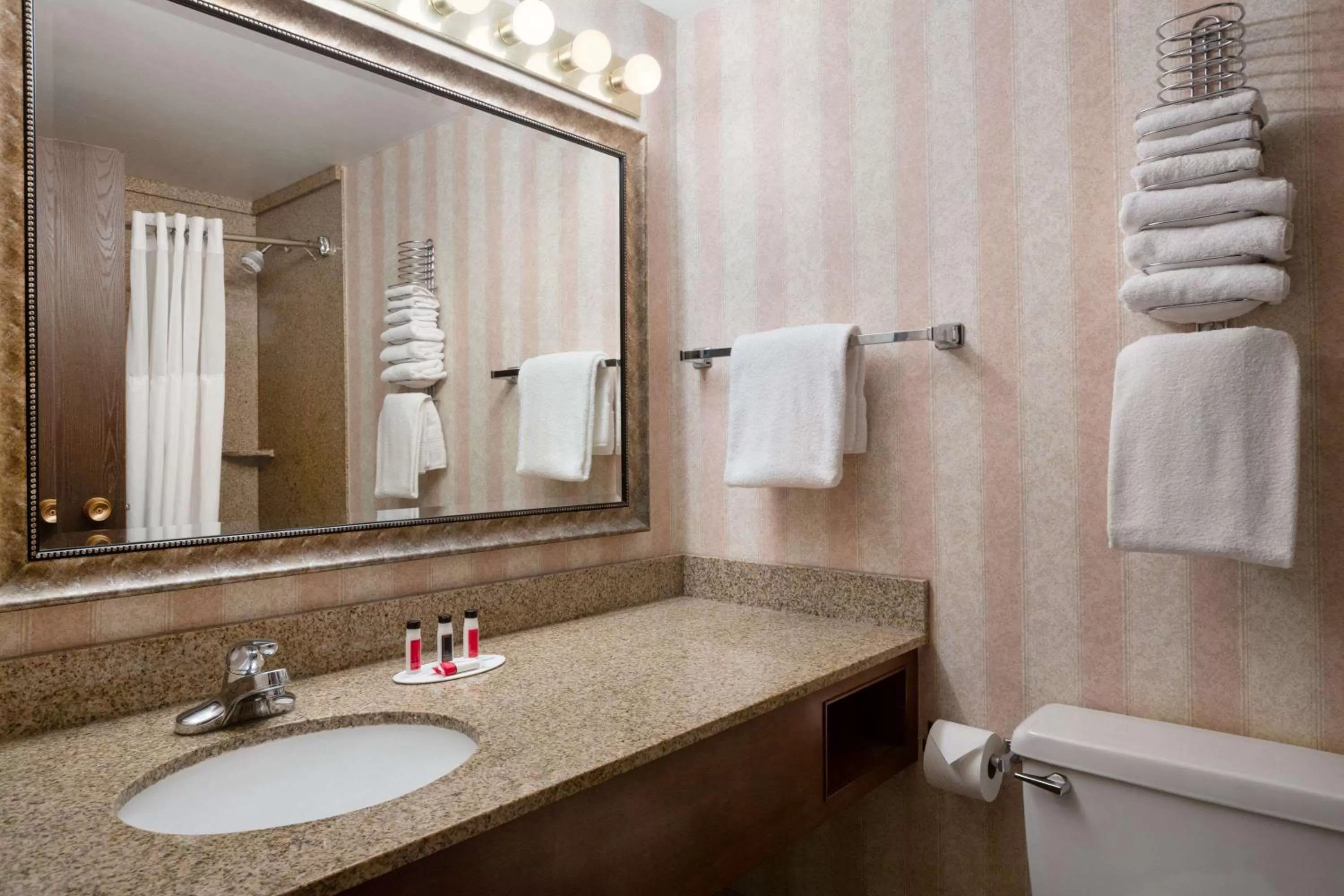 Bathroom in Ramada by Wyndham Bismarck