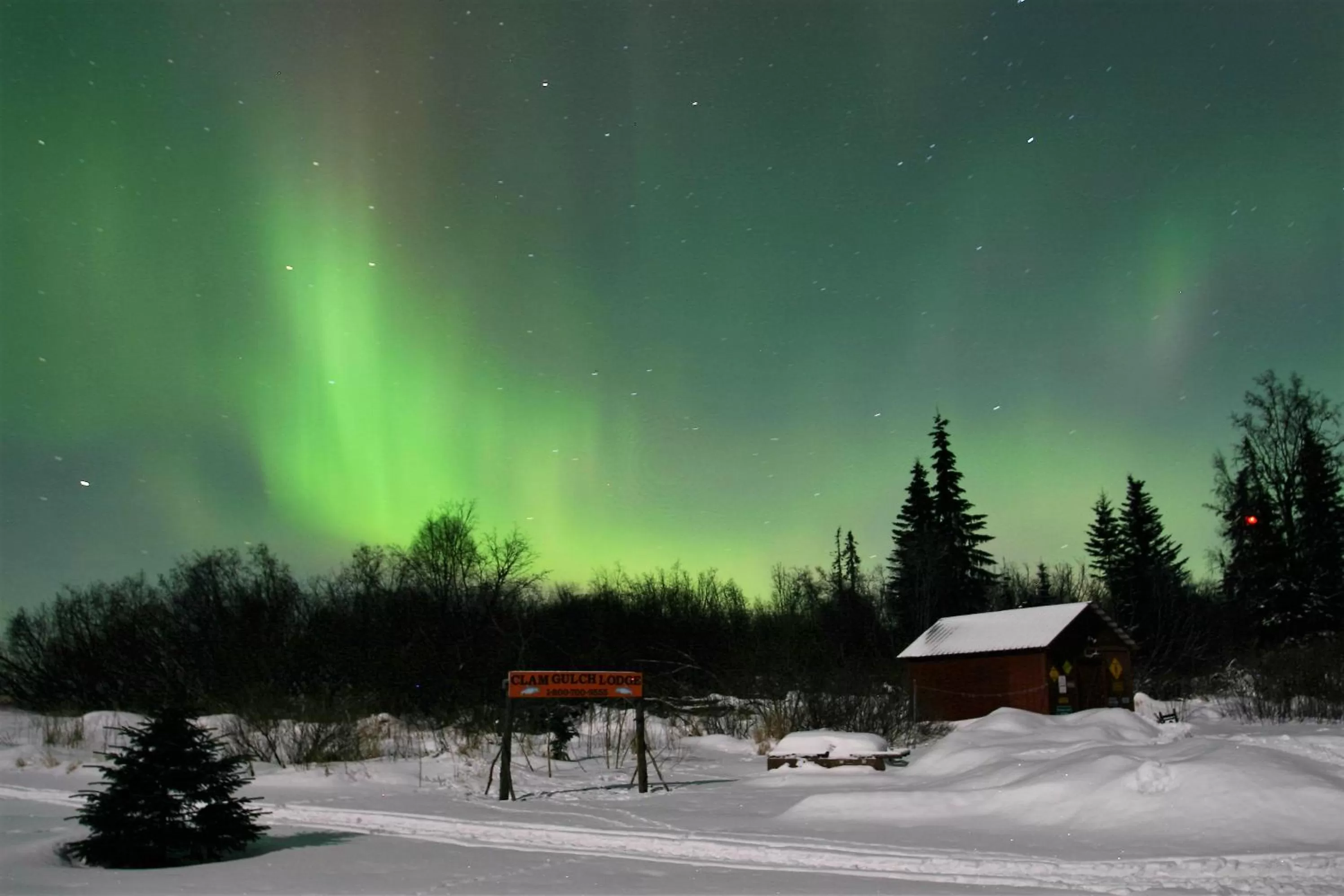 View (from property/room) in Clam Gulch Lodge
