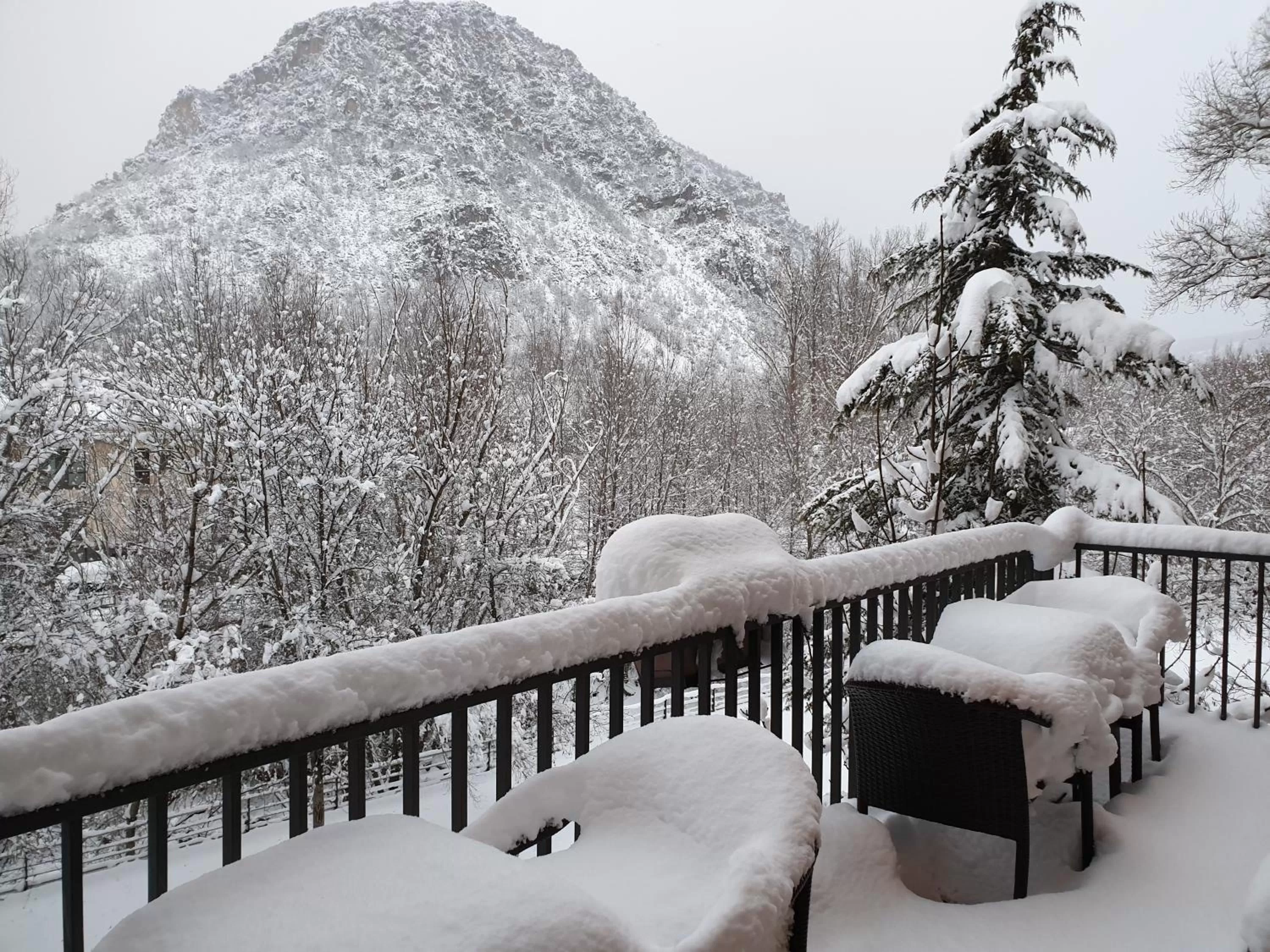 Property building in Hotel Cotori