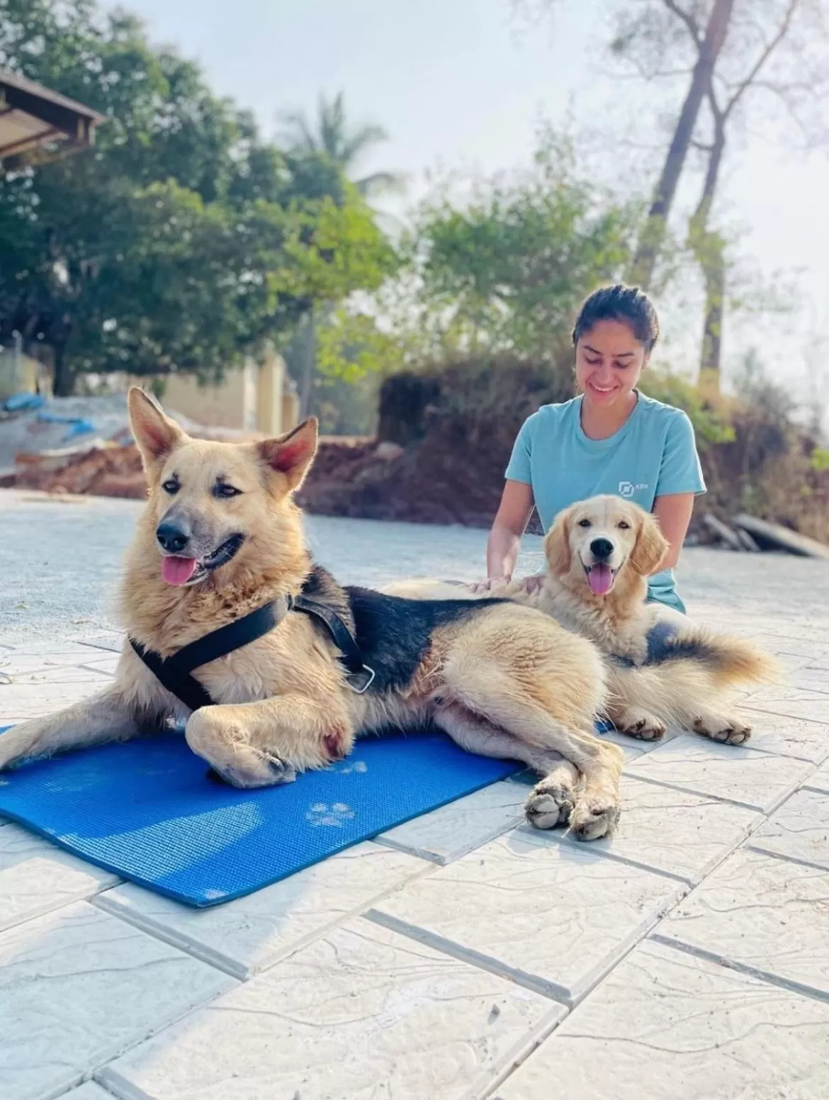 Pets in Commune18 Resort Chikmagalur