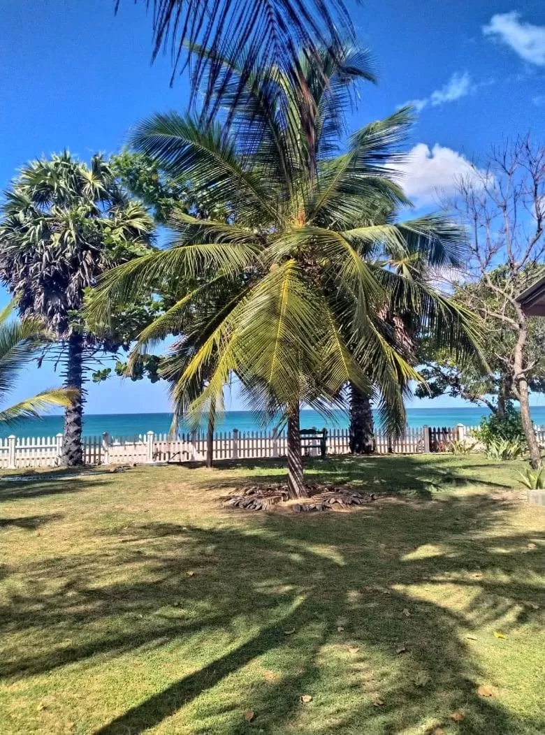 Garden in Pearl Oceanic Resort - Trincomalee