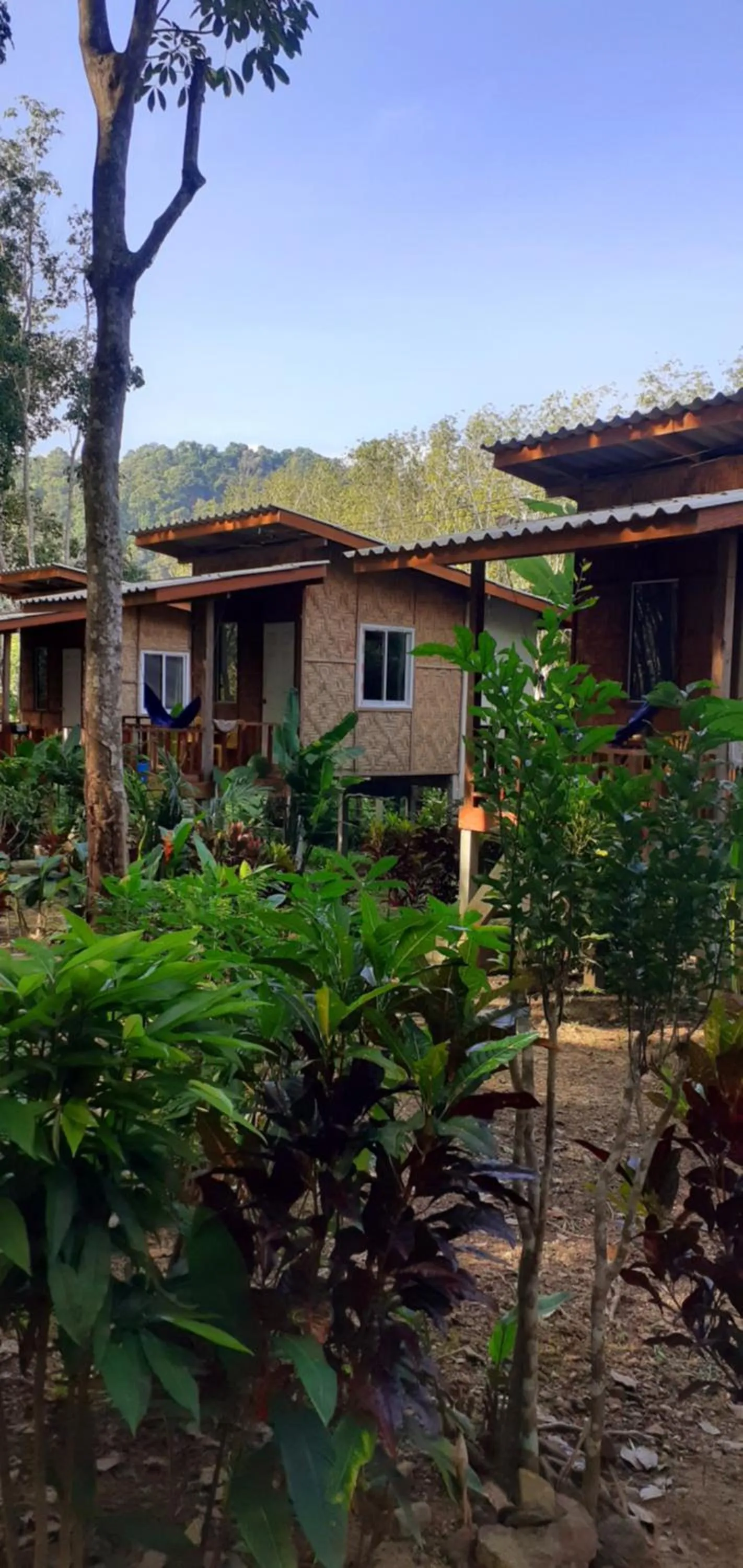 Mountain view in Lanta Maikeaw Bungalow