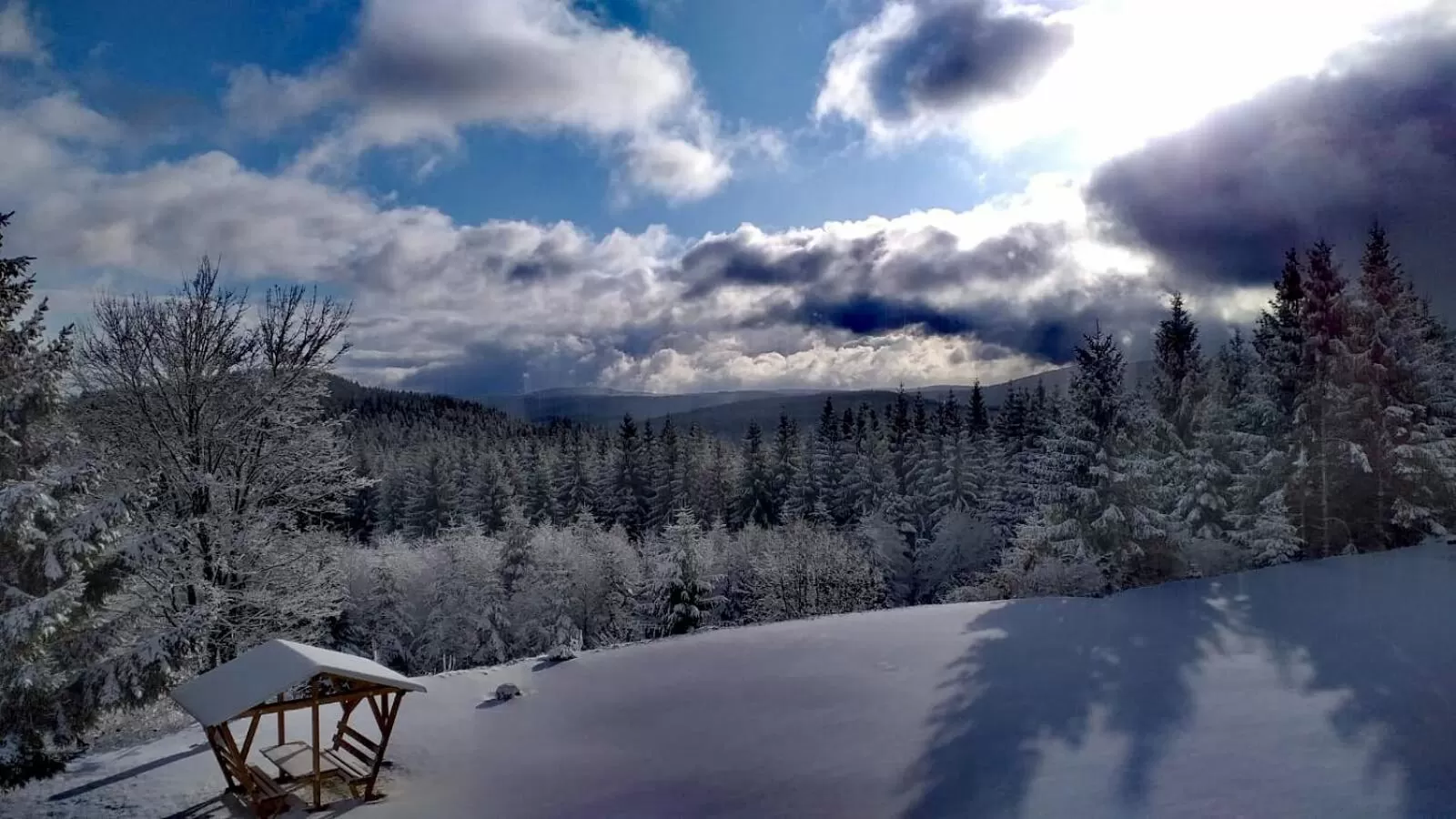 Staff, Winter in Hotel & Pension Traumblick