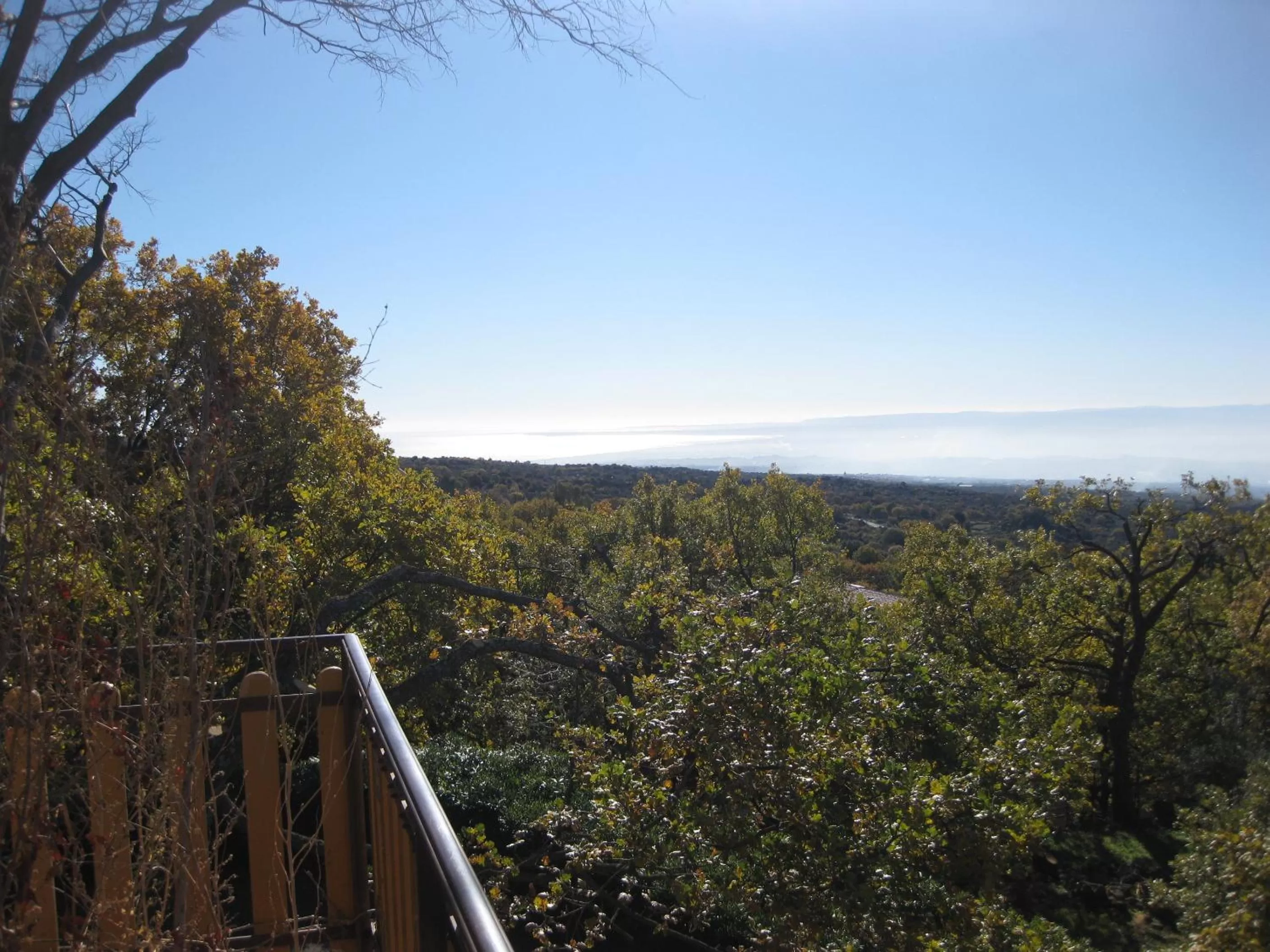 Balcony/Terrace in Domus Verdiana