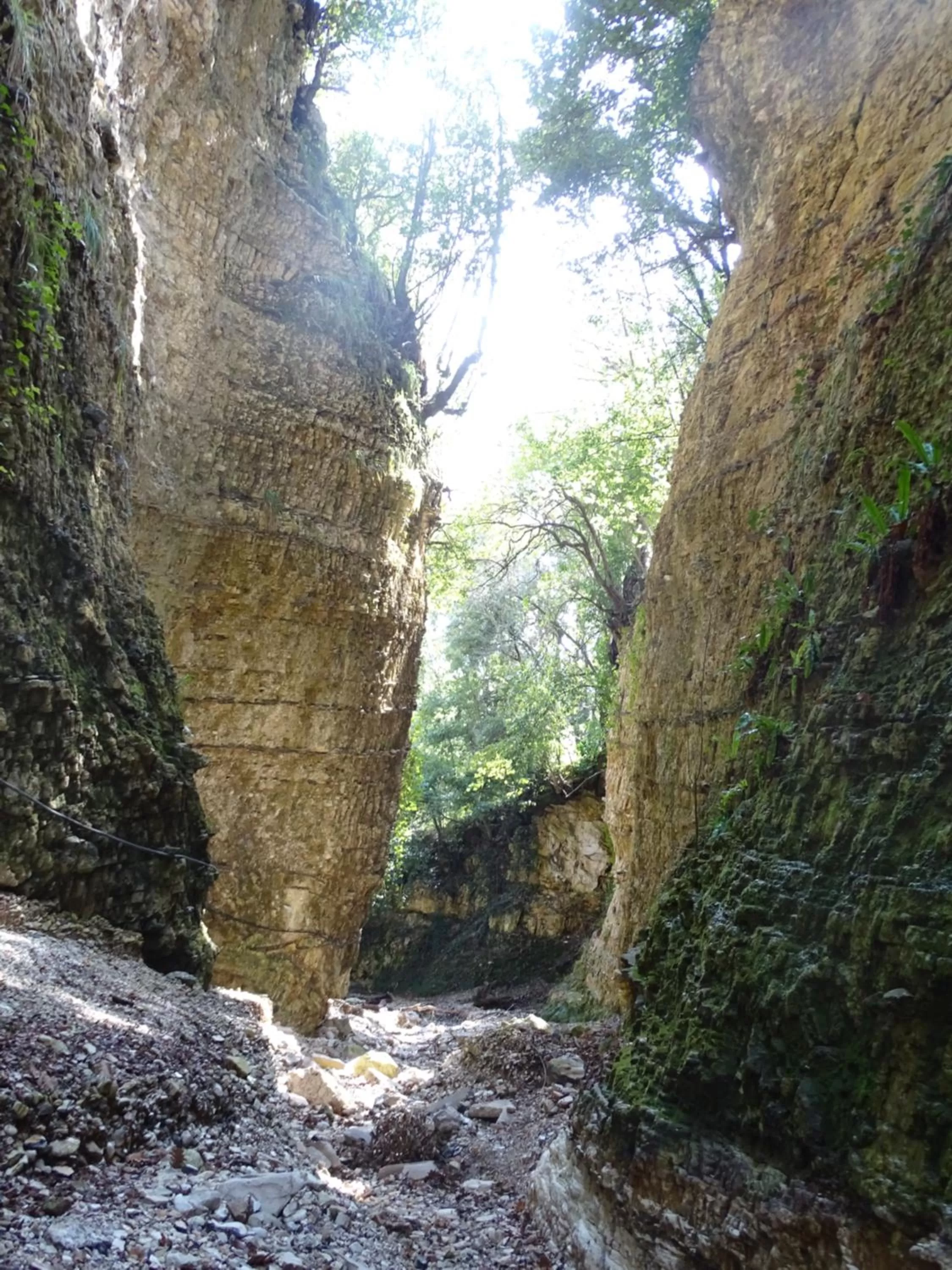 Restaurant/places to eat, Natural Landscape in Villa Biancofiore