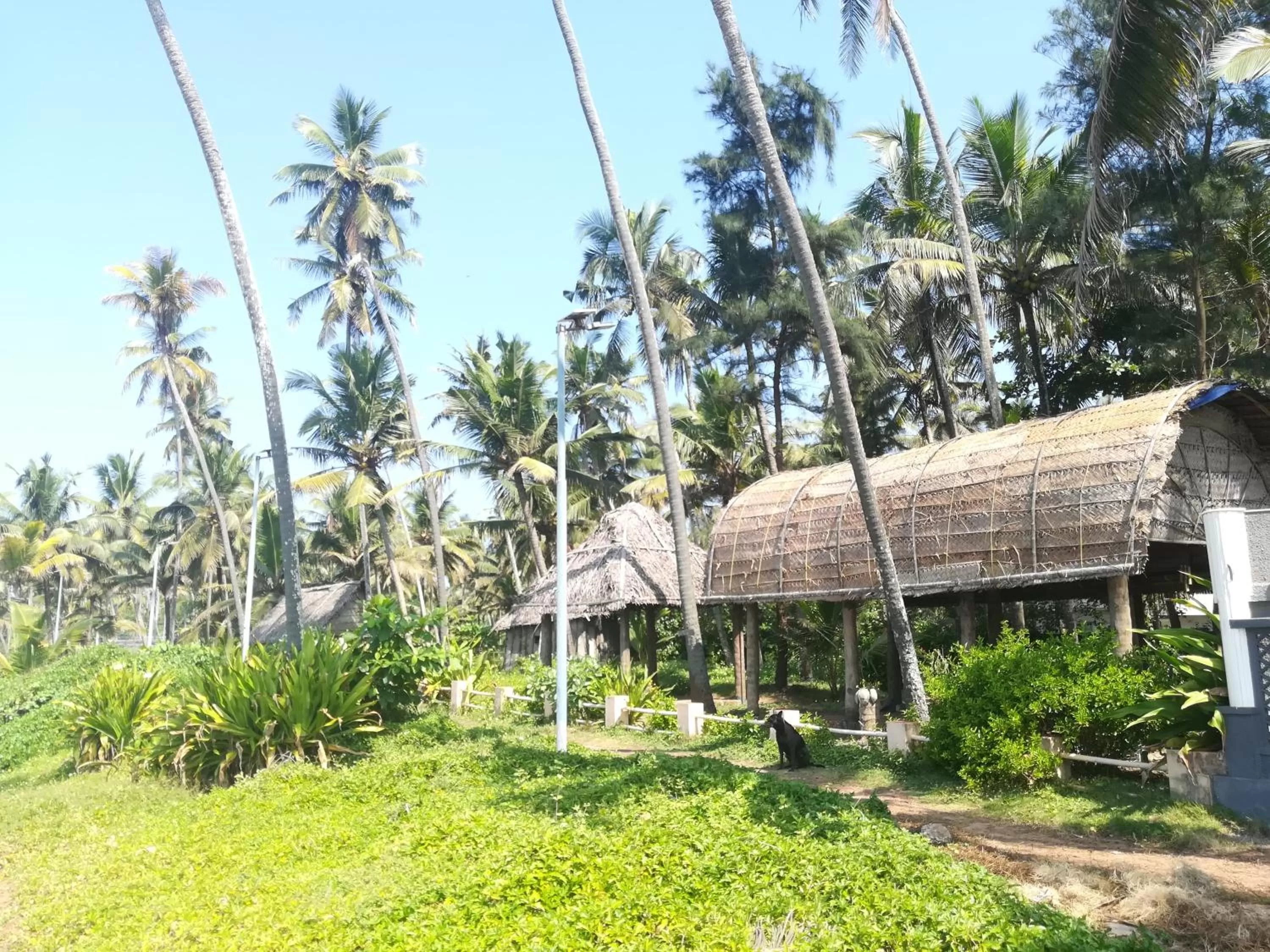 Property building, Garden in Sukriti beach Resort