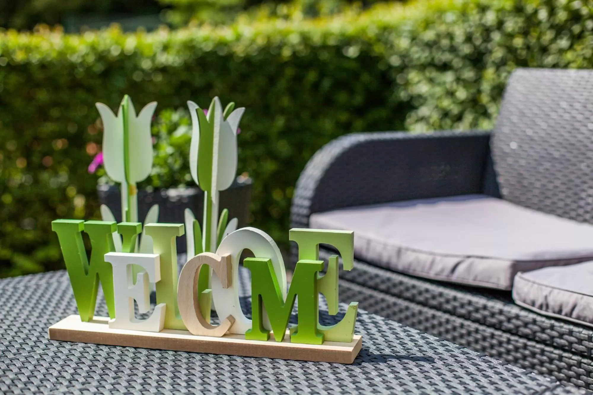 Other in Sporthotel Wernigerode