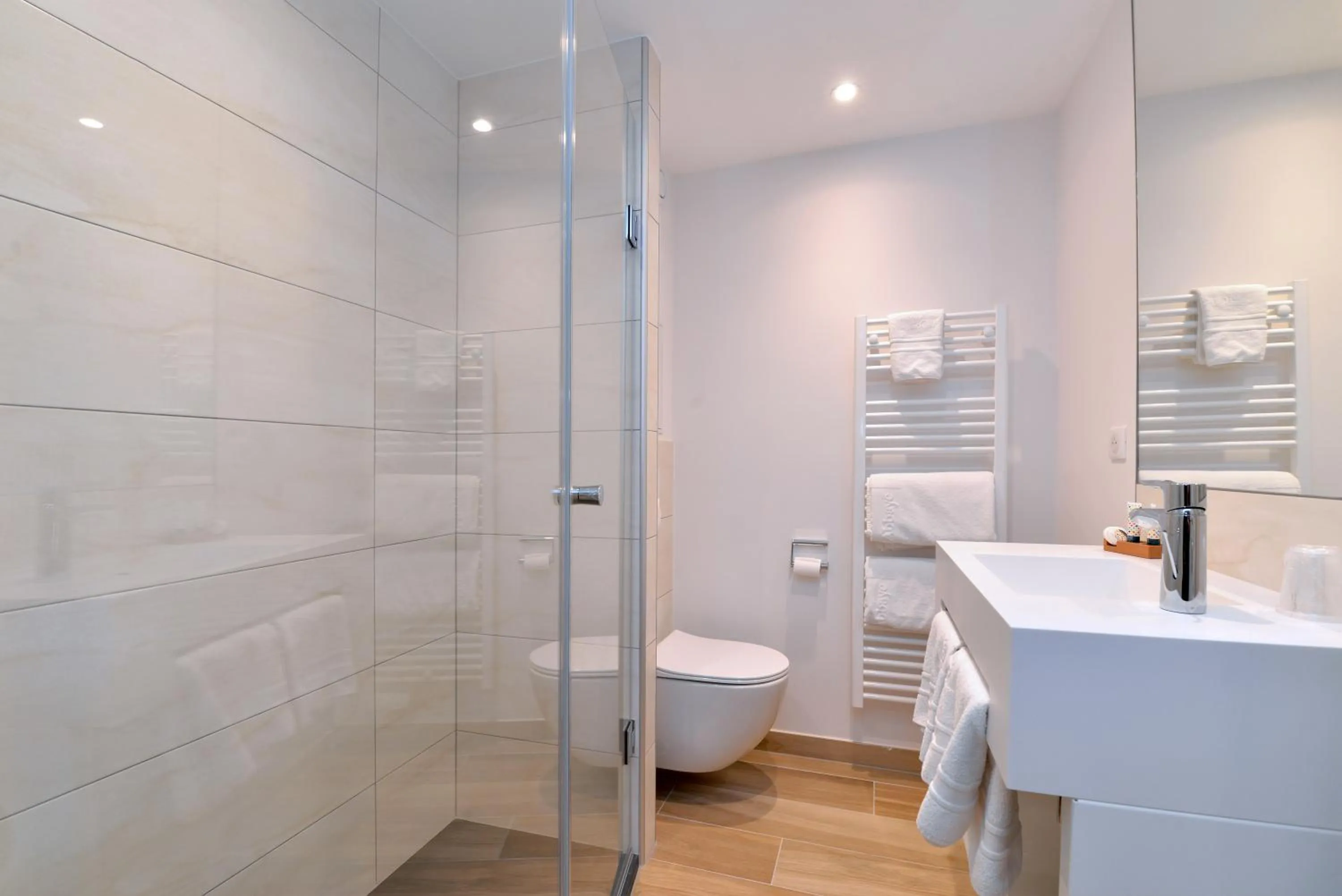 Toilet in L'Abbaye d'Alspach