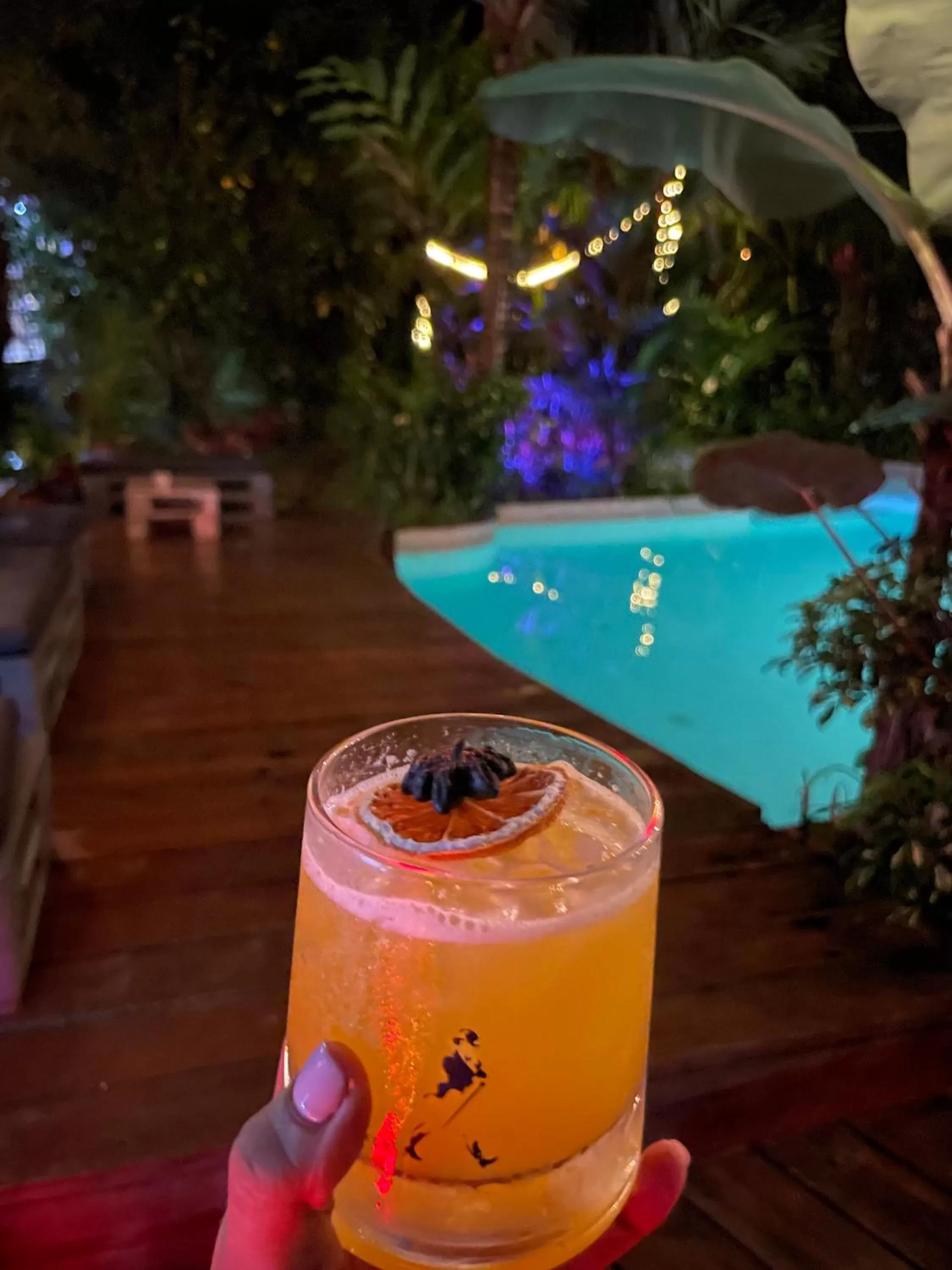 Drinks in Monkey Lodge Panama