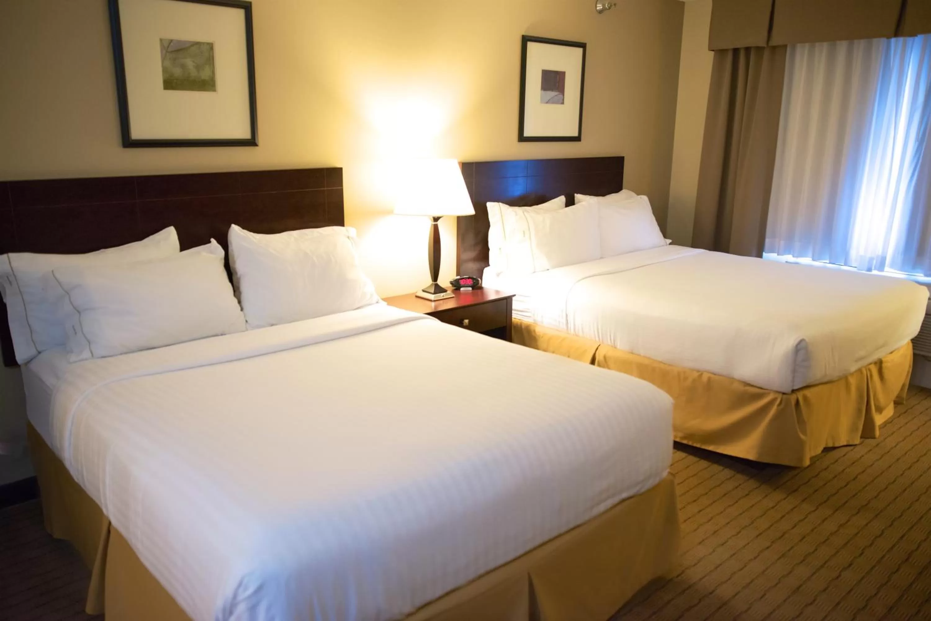 Photo of the whole room, Bed in Holiday Inn Express Devils Lake by IHG