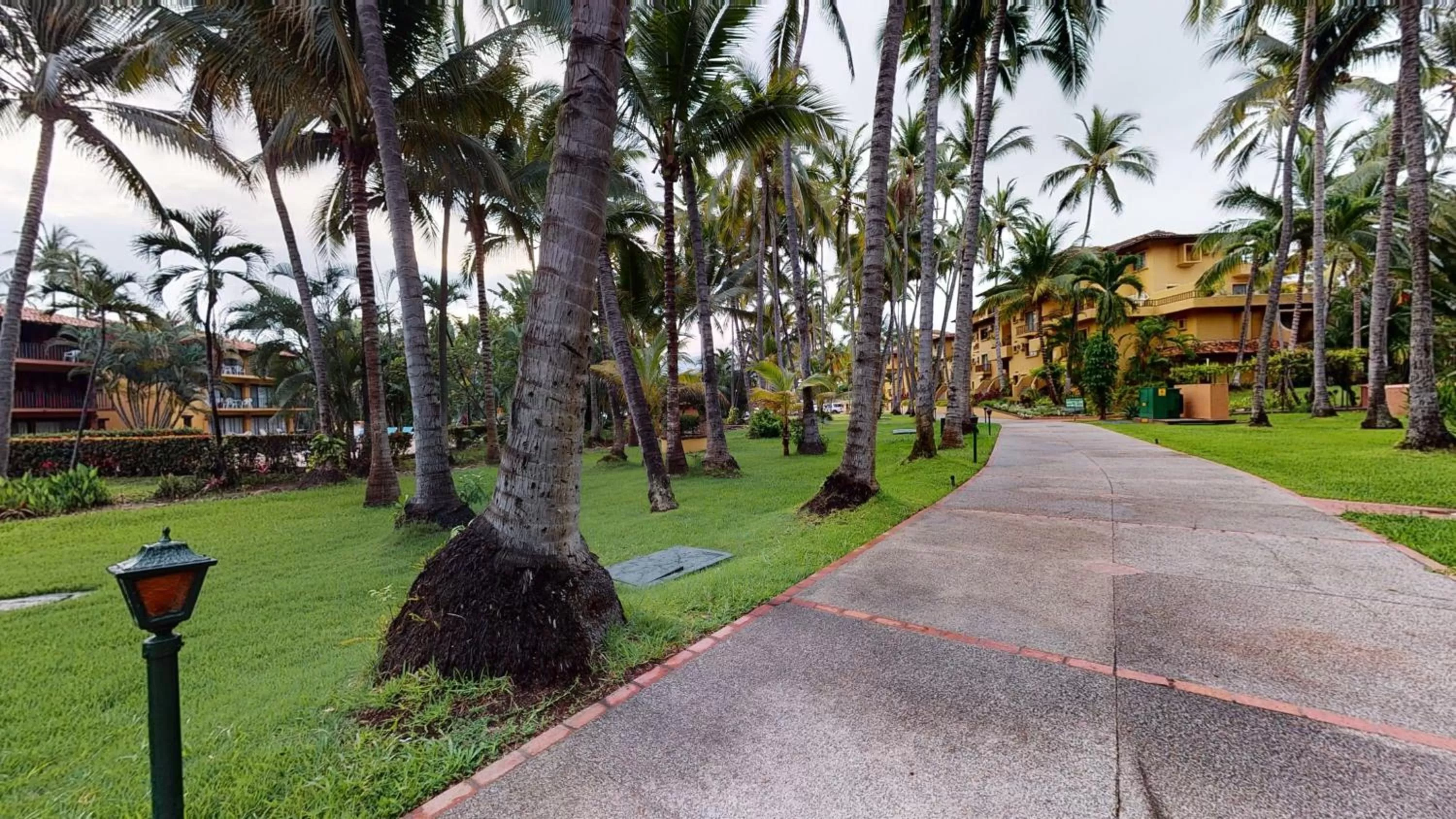 Garden view in Park Royal Homestay Los Tules Puerto Vallarta