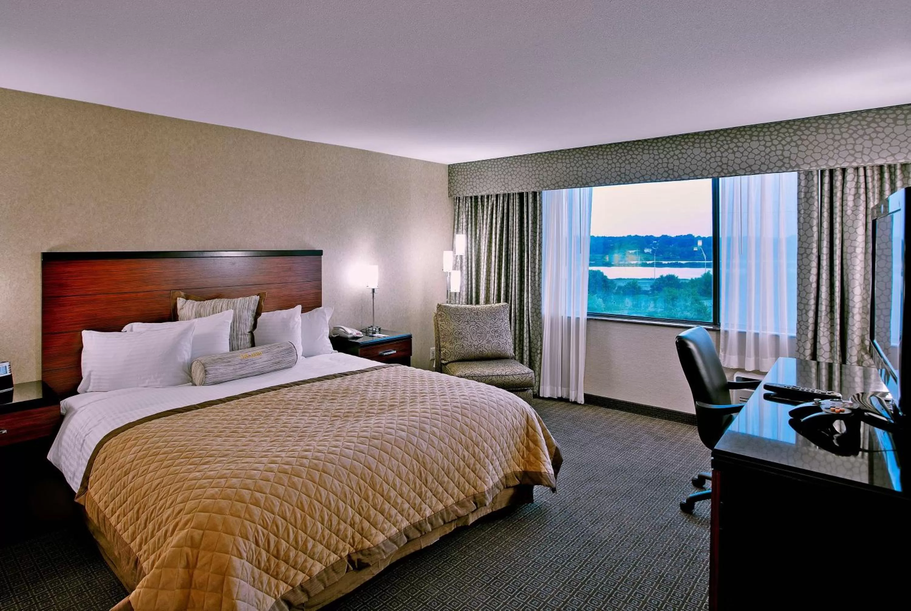 Photo of the whole room in Wyndham Garden Philadelphia Airport