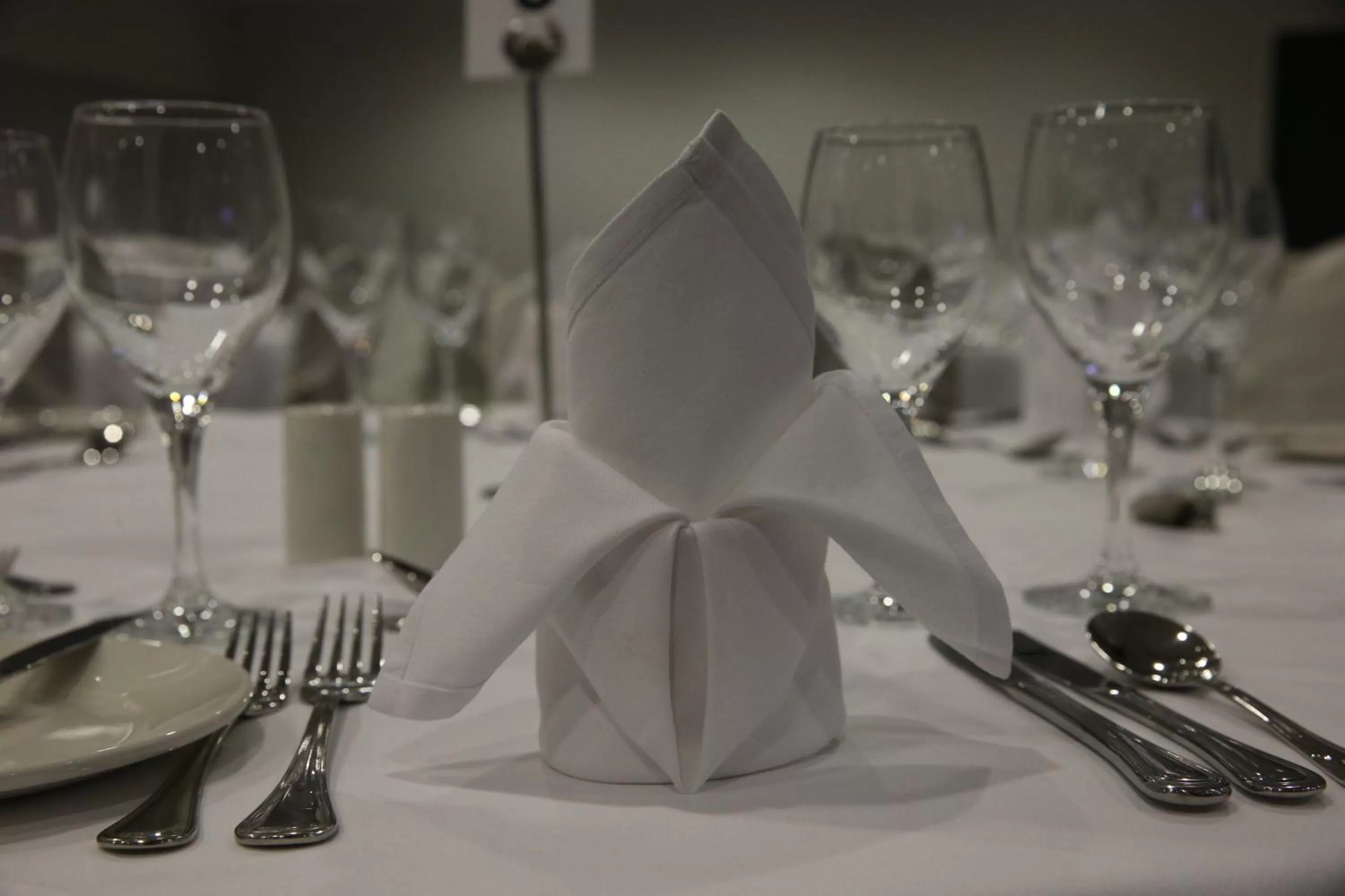 Banquet/Function facilities in Altius Boutique Hotel