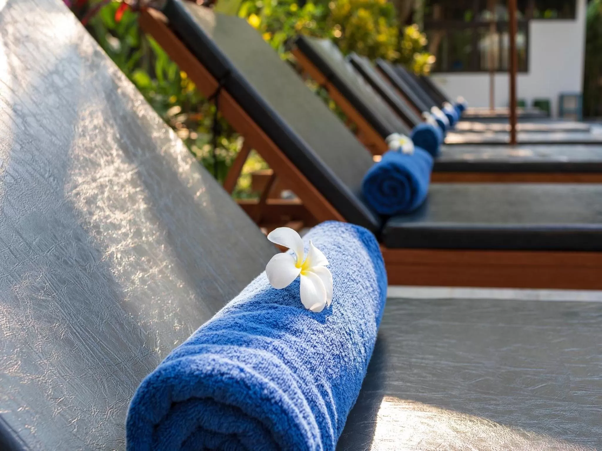 Area and facilities in AIRA Boutique Hoi An Hotel & Spa