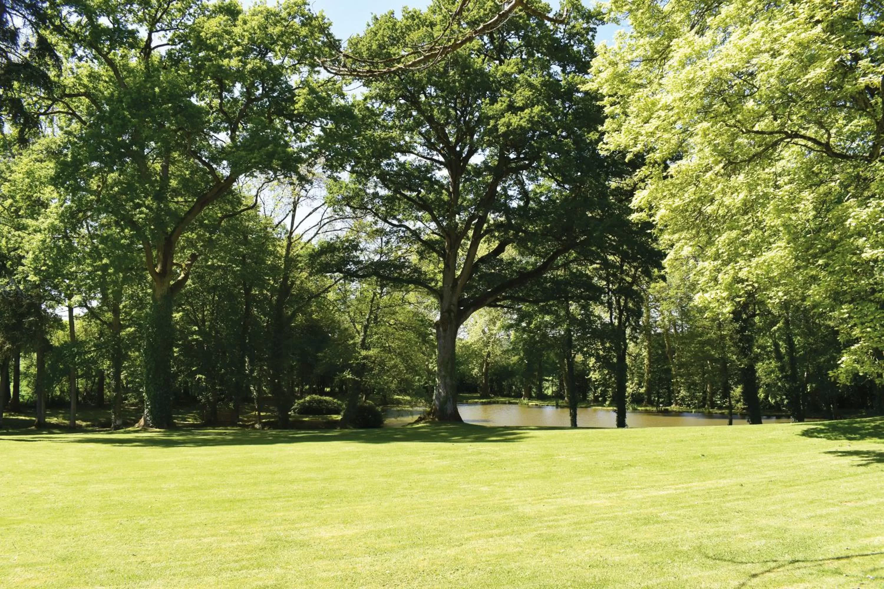 Garden in Hôtel le Corbusson