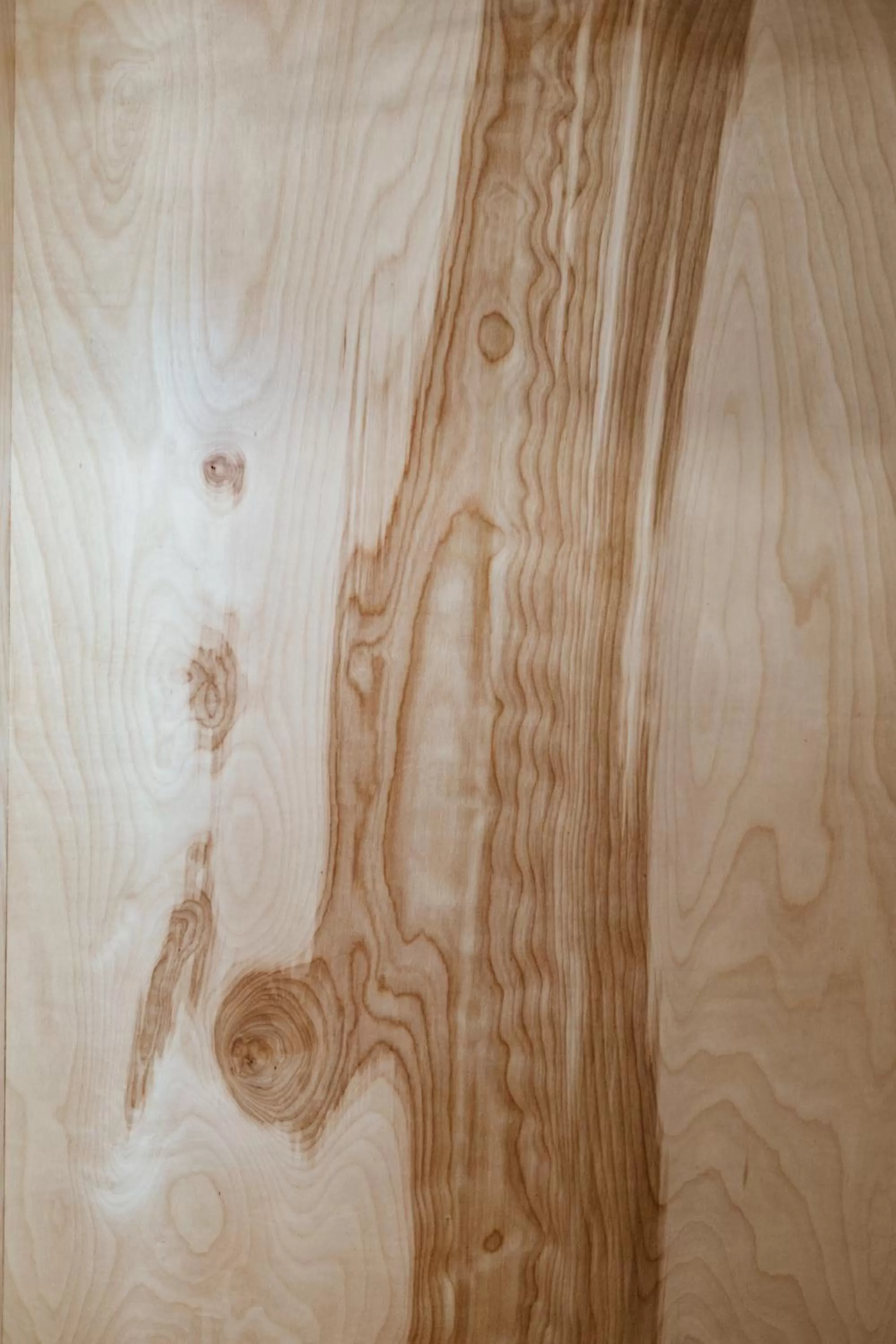 The Flying Steamshovel Inn