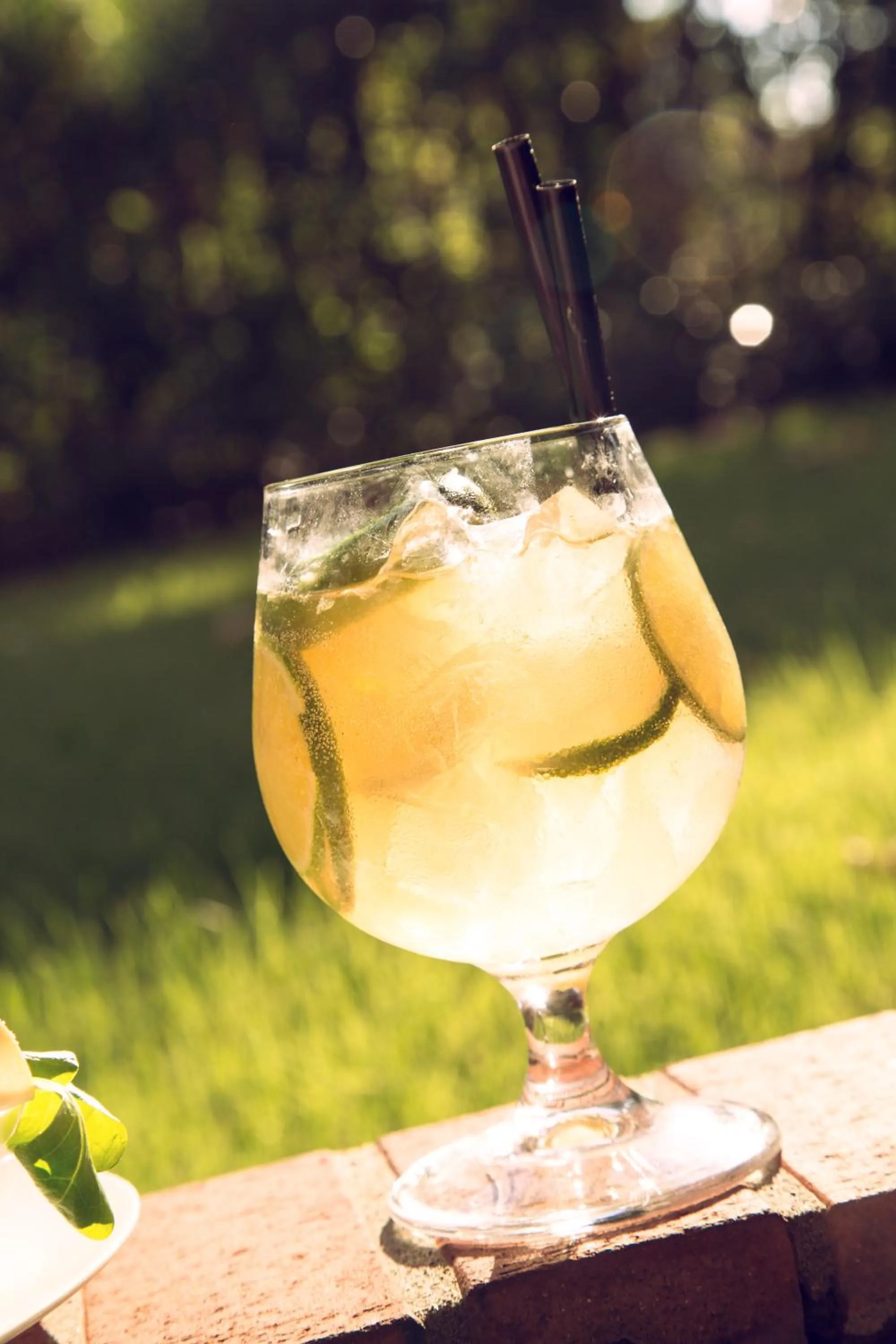 Alcoholic drinks in eco Hotel Milano & BioRiso Restaurant