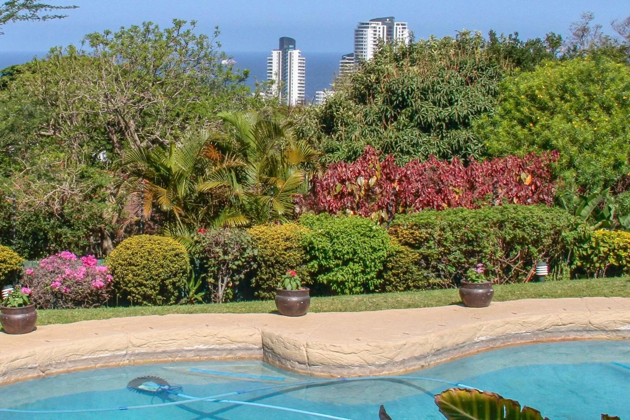 Swimming Pool in Addis Bed and Breakfast