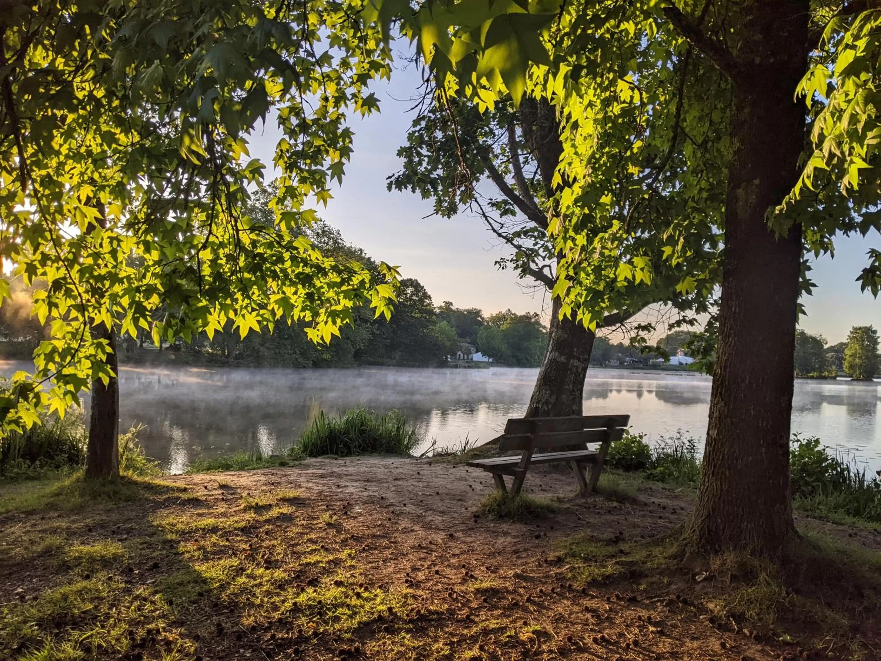 Lake view in Hôtel Studios Les Acacias