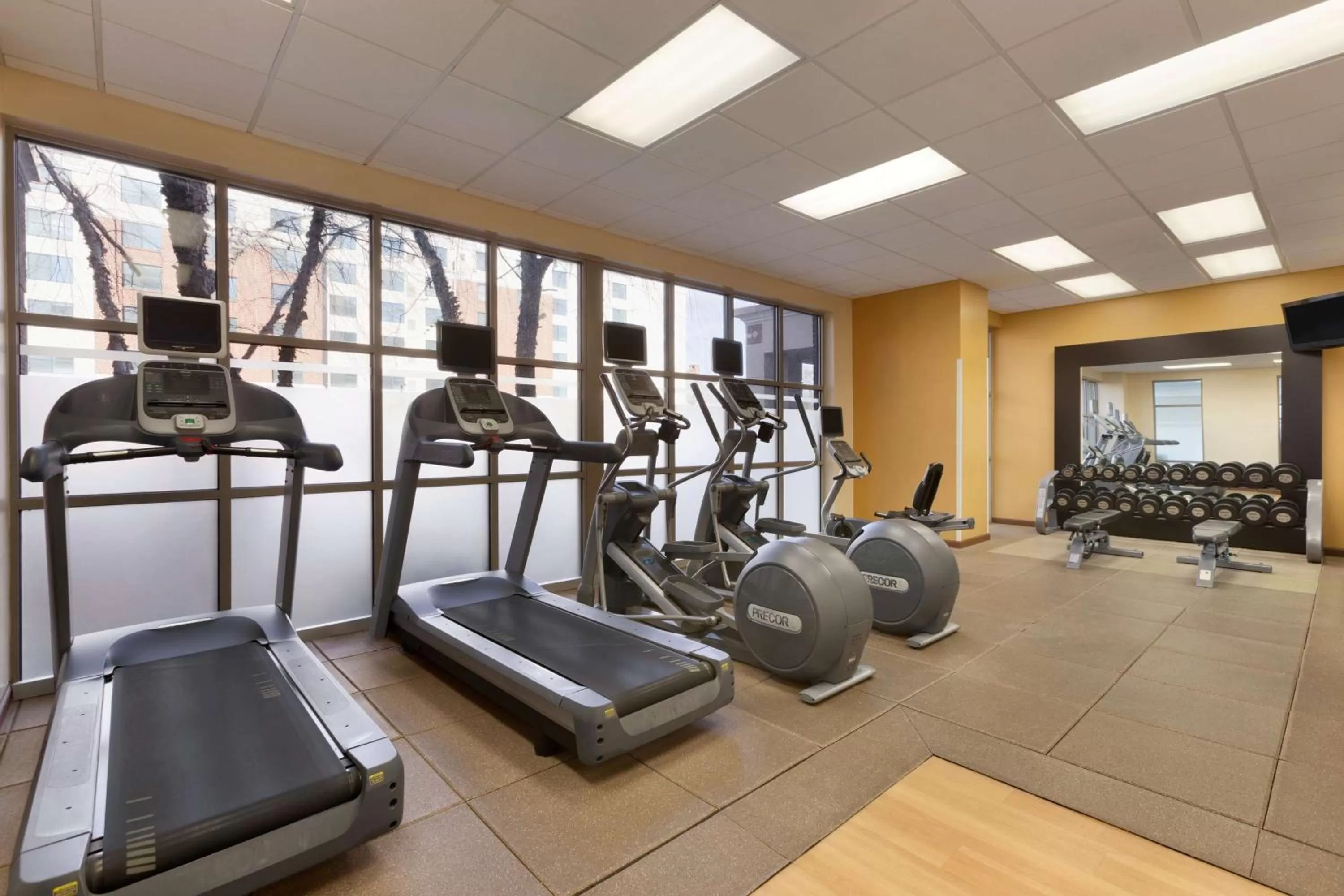 Fitness centre/facilities in Embassy Suites Newark - Wilmington/South
