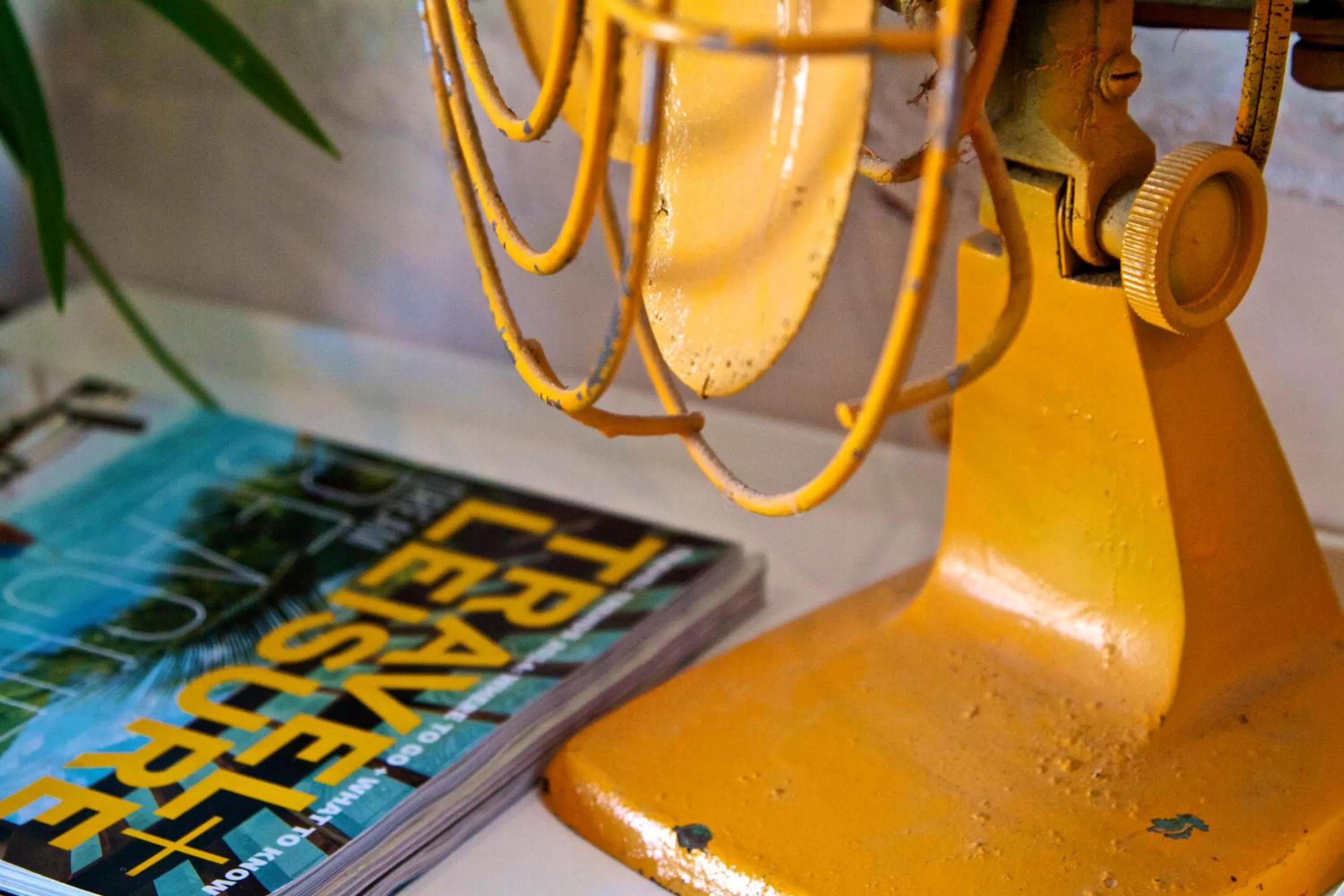 Decorative detail in The Diplomat Boutique Hotel