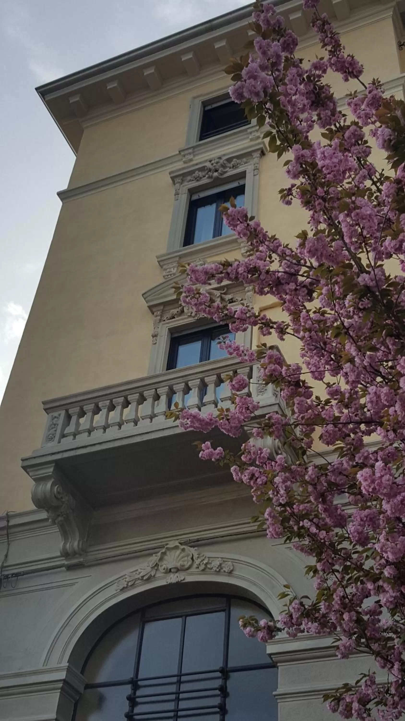 Spring in Hotel La Nuova Rotaia