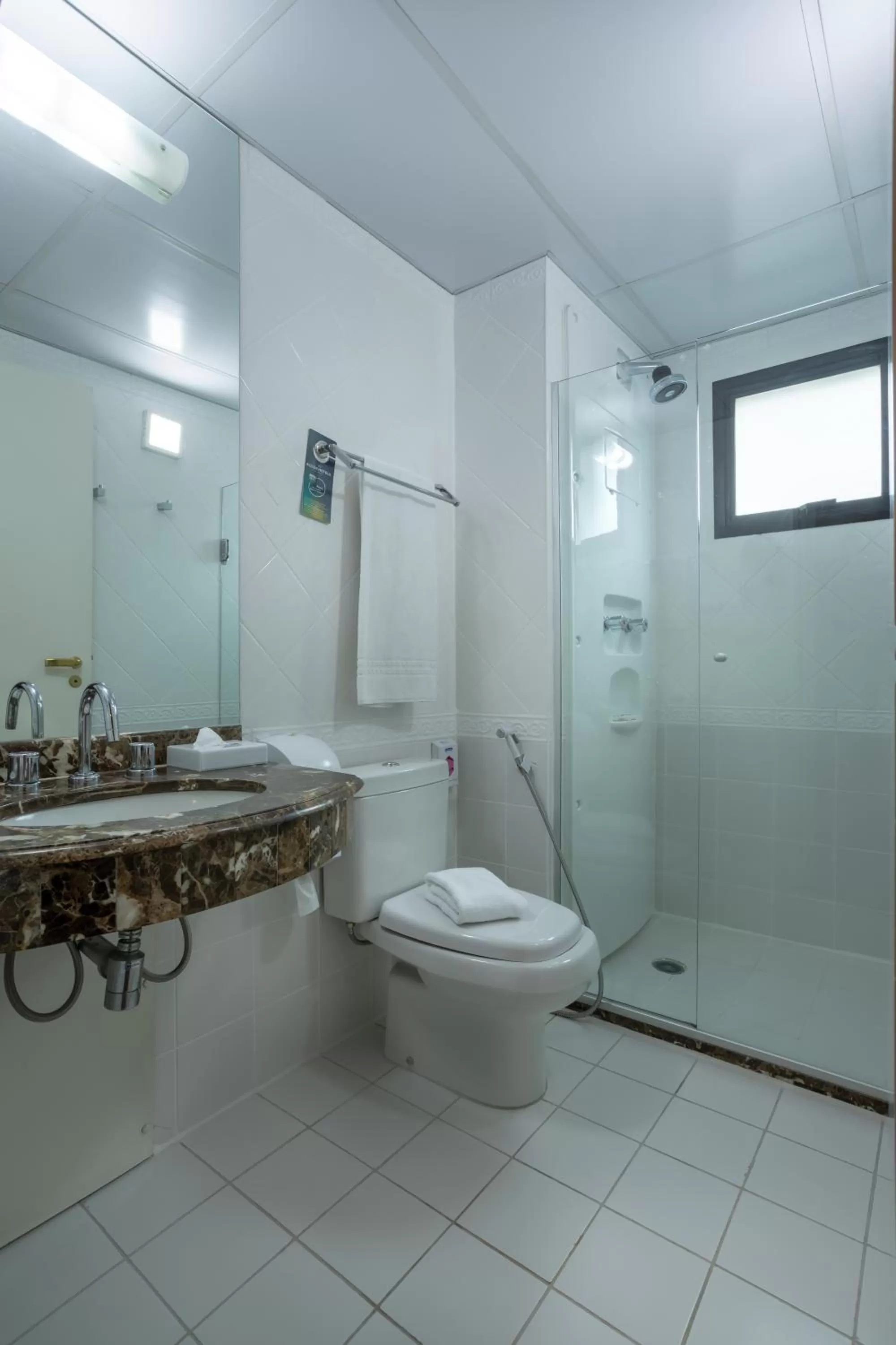 Toilet in Mercure Sao Paulo Pinheiros