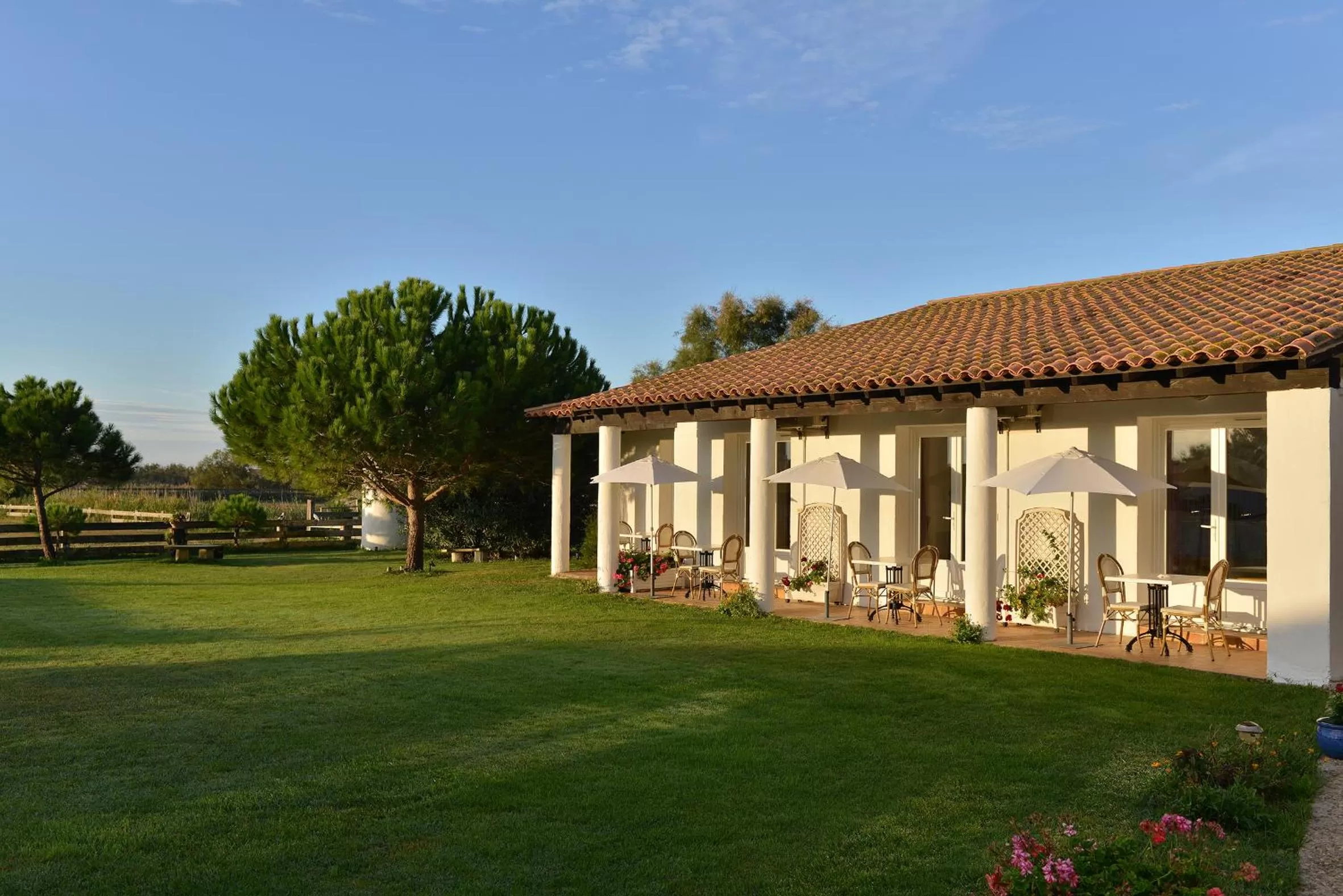 Mas de la Grenouillère Hôtel et Centre équestre en pleine nature