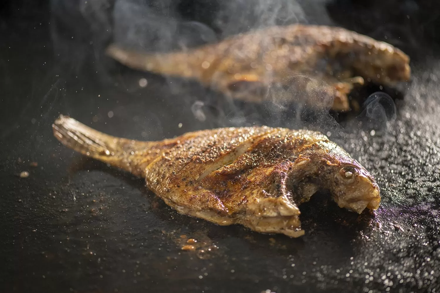 BBQ facilities in Lavendish Lake Giritale - Former Giritale Hotel